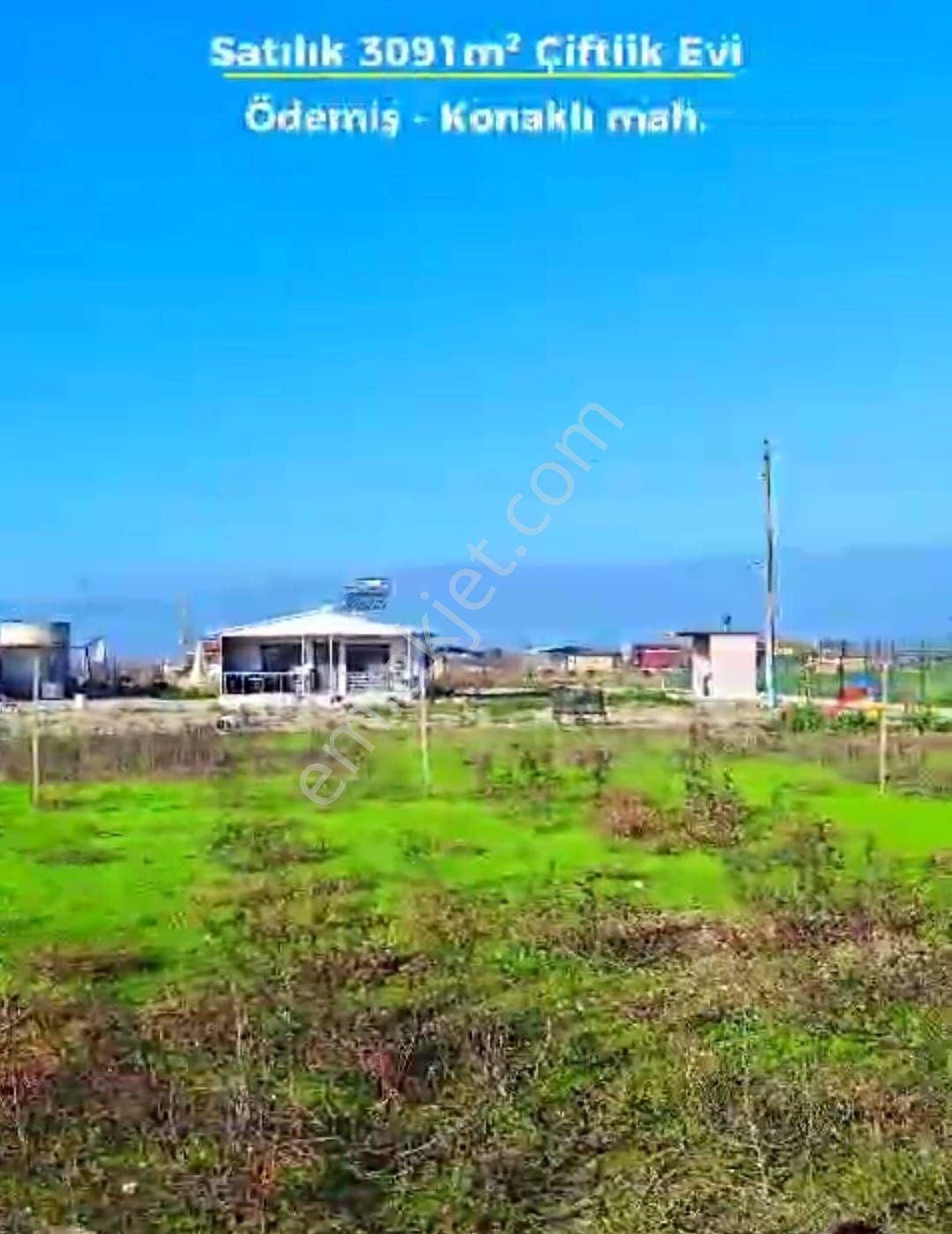 İzmir Ödemiş Konaklı Mah. Satılık Çiftlik