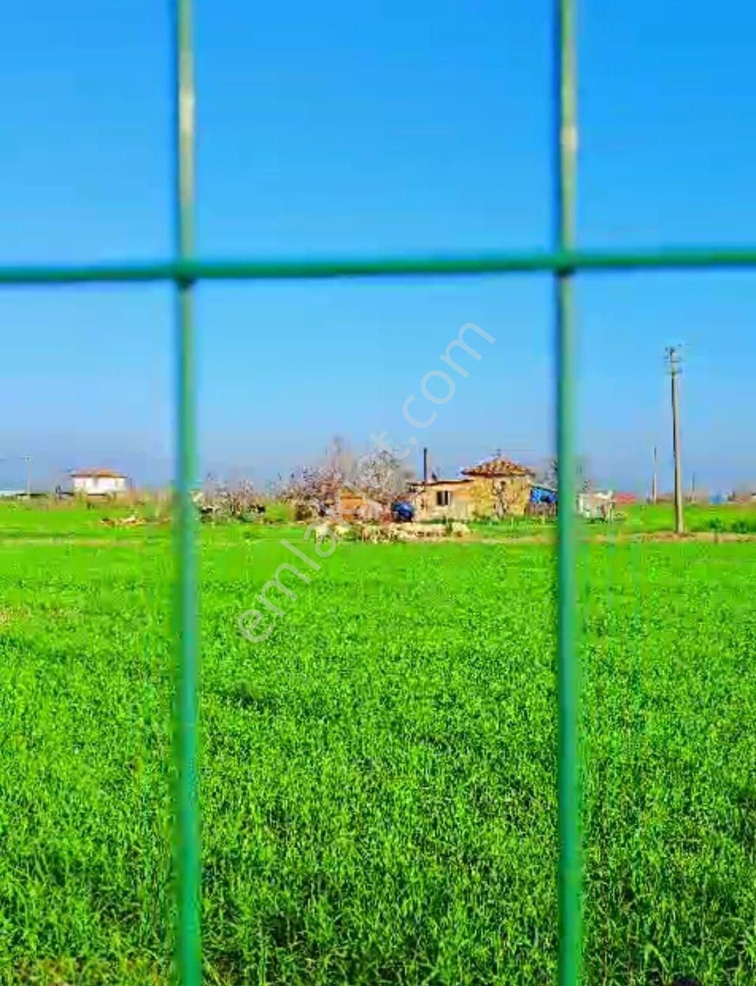 İzmir Ödemiş Konaklı Mah. Satılık Çiftlik - Görsel 9