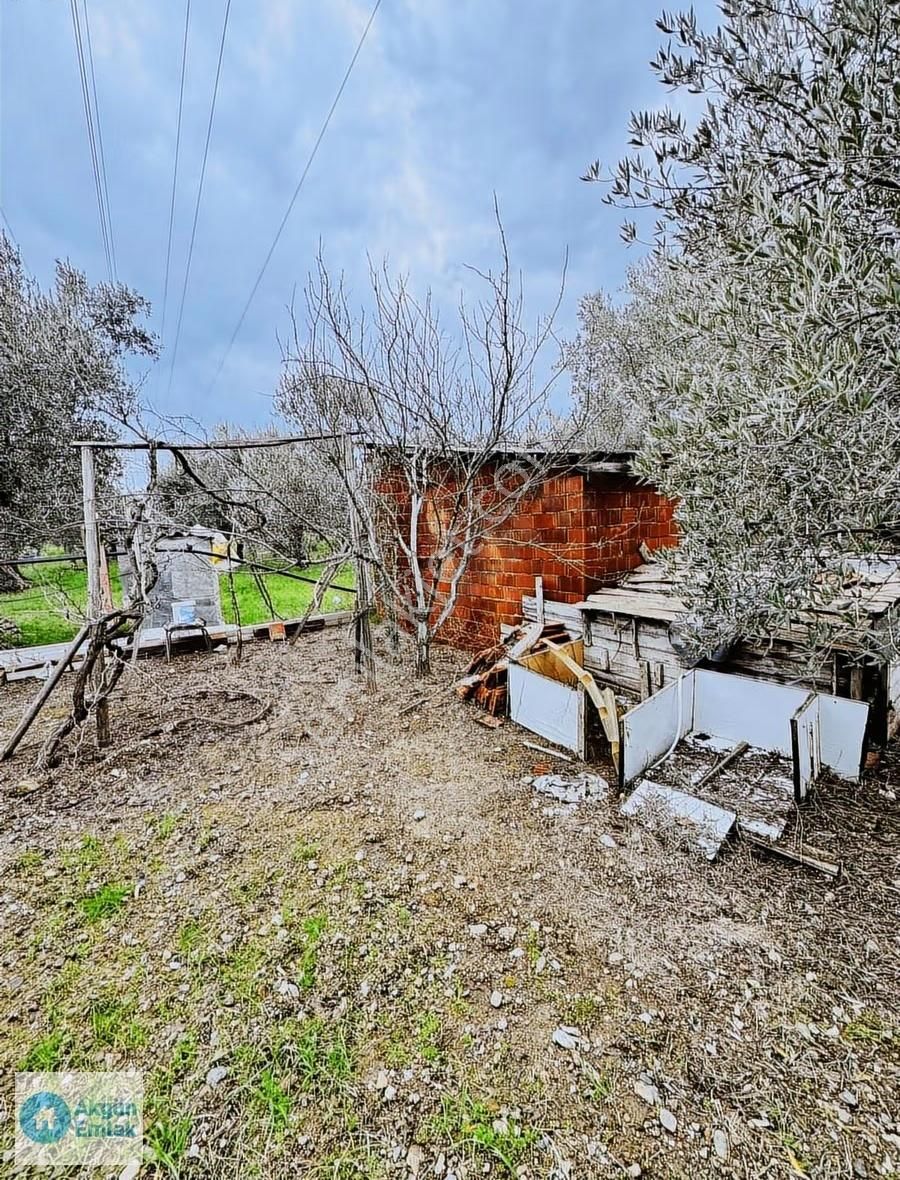 Efendi Mahlesinde Elektrik Ve Suyu Olan Hobi Bahçesi Satılık - Görsel 10