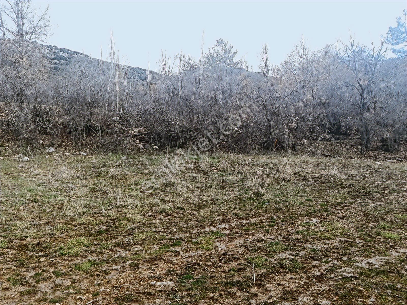 Yuşa'dan Burdur'da Yatırımlık 518m² Selvi Bahçesi - Görsel 8