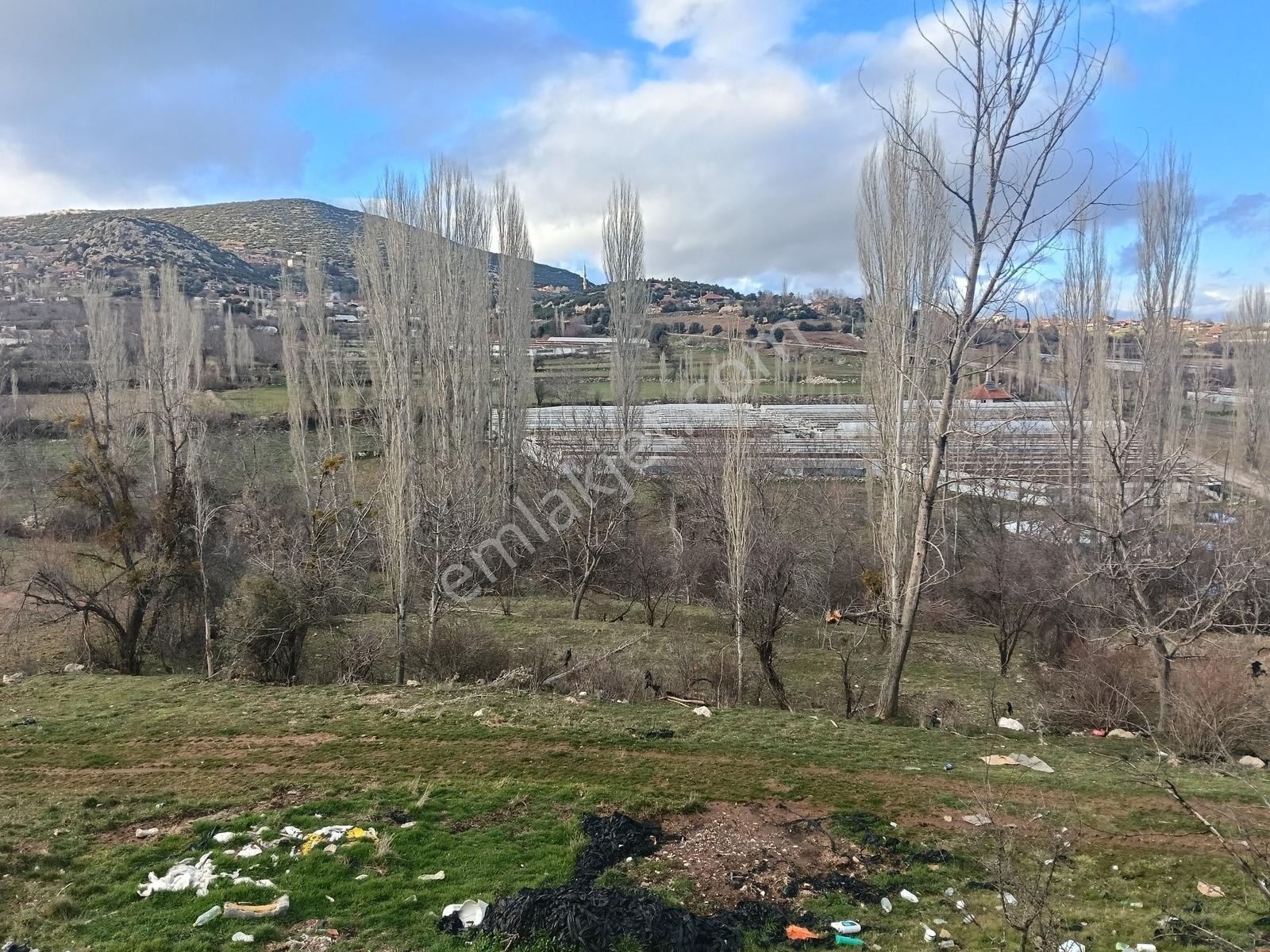 Yuşa'dan Burdur'da Yatırımlık 518m² Selvi Bahçesi - Görsel 4