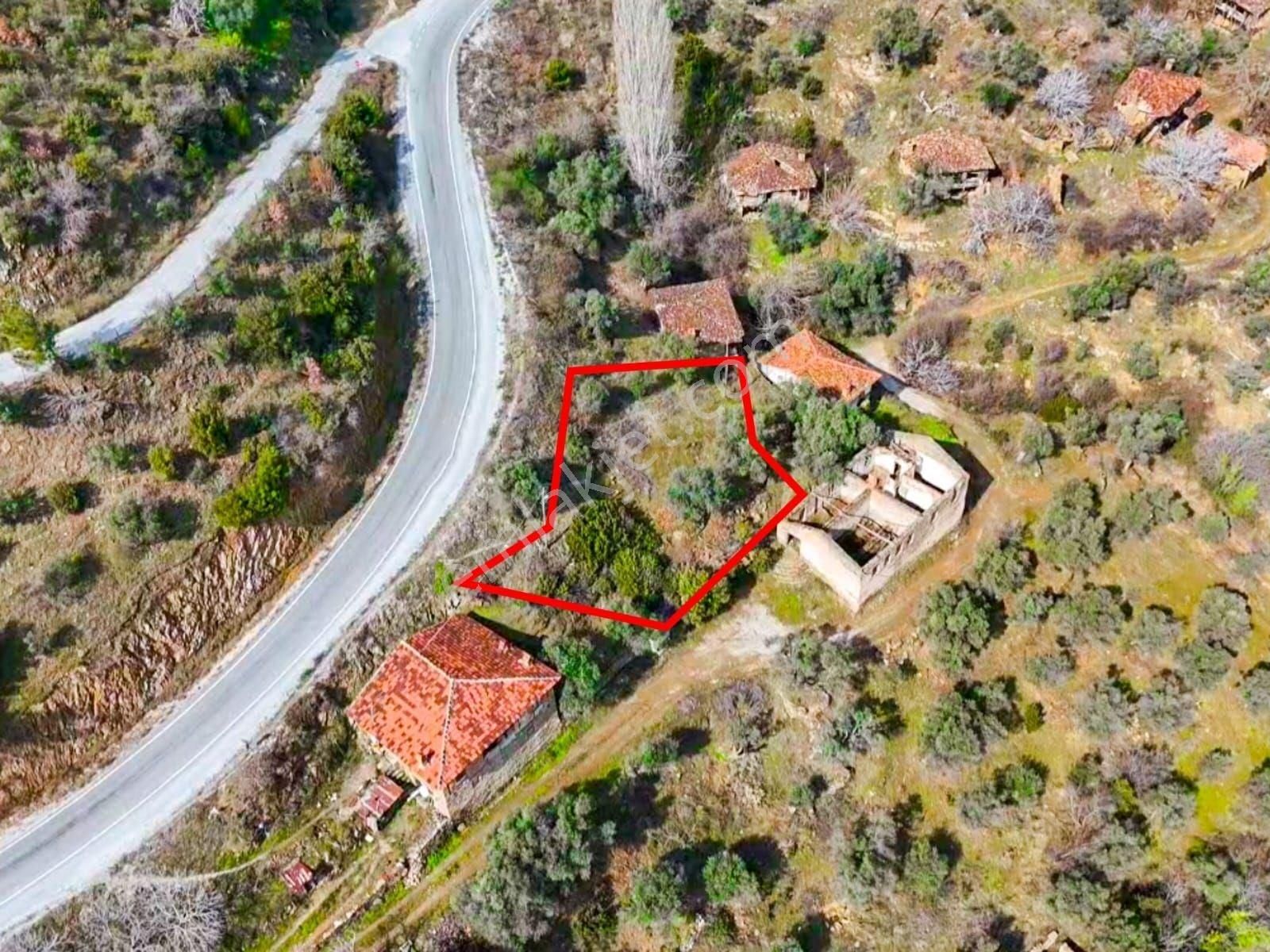 Ödemiş Lübbey Köyünde Satılık Zeytinlik - Görsel 6