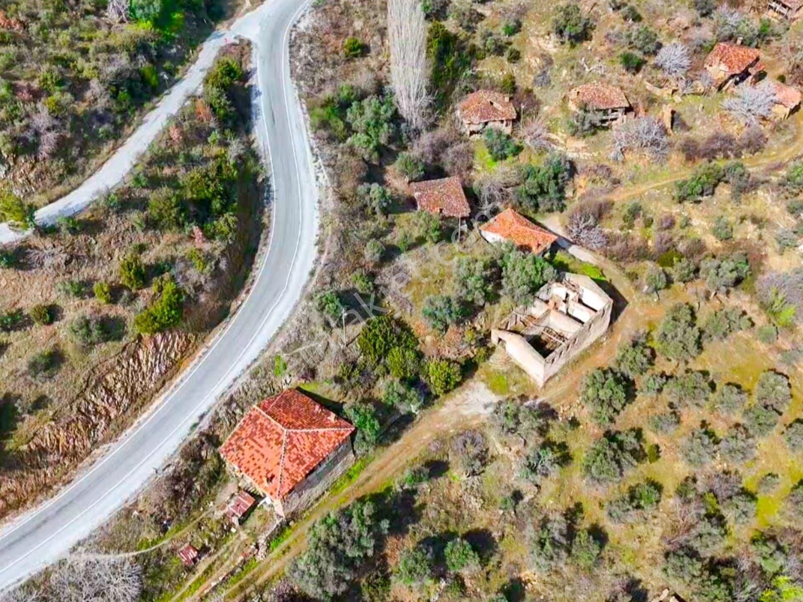 Ödemiş Lübbey Köyünde Satılık Zeytinlik - Görsel 5