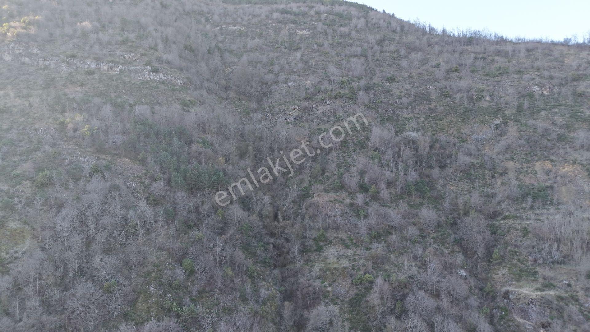Trabzon Maçka Öğütlü Mahallesi 3383 M2 Satılık Arsa - Görsel 5