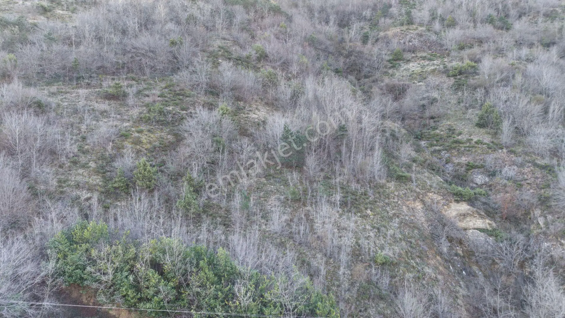 Trabzon Maçka Öğütlü Mahallesi 3383 M2 Satılık Arsa - Görsel 2