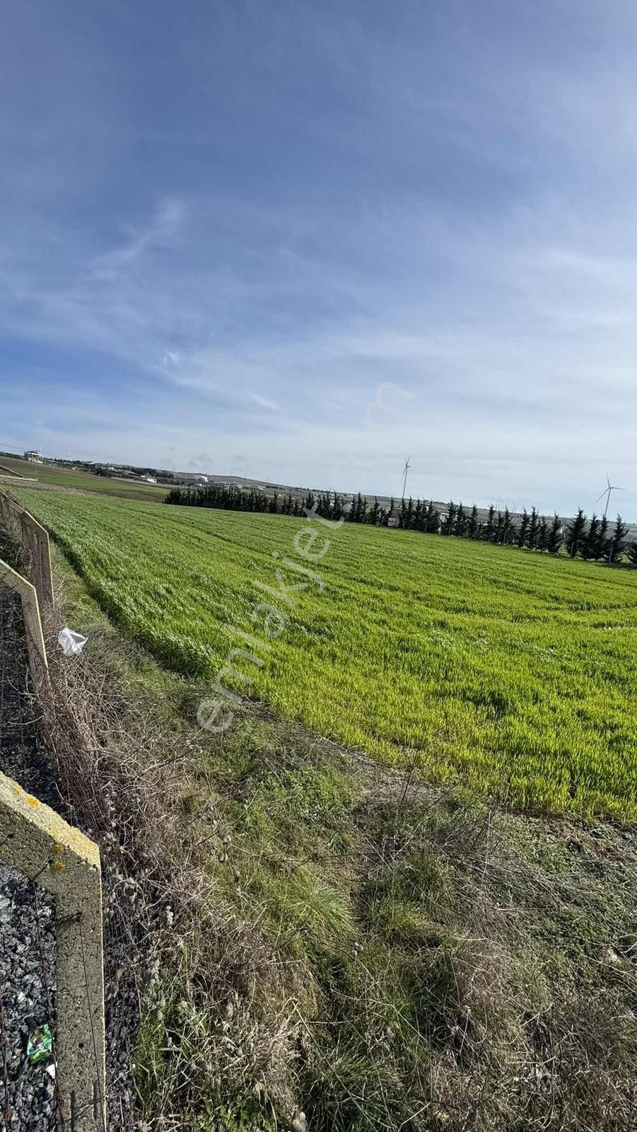 Çatalca Elbasan Köyünde Karamurat Mevkisine Yatırım Satılık Arsa - Görsel 5