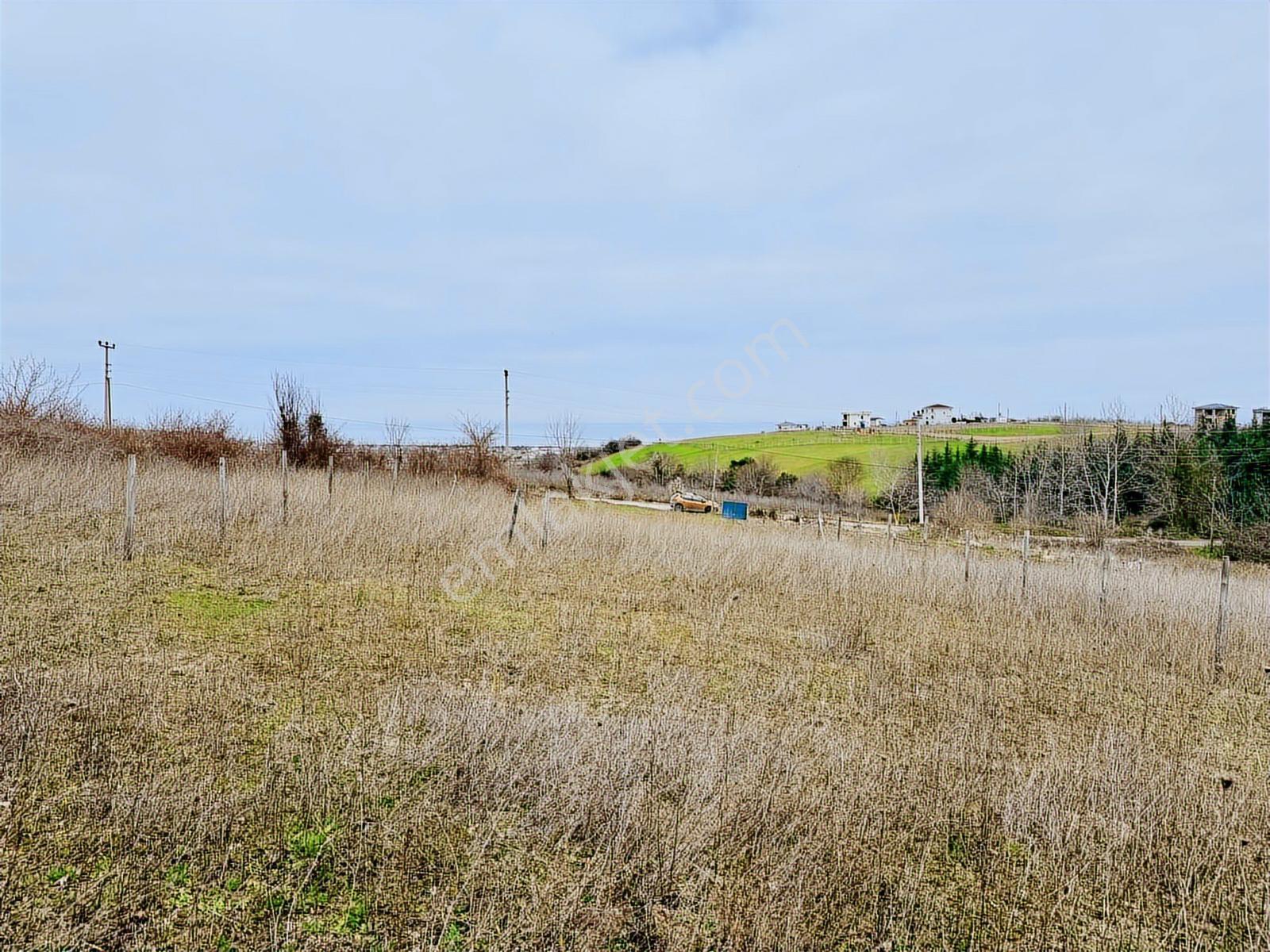Deniz Ve Doğa Manzaralı 536 M2 / Müstakil Tapulu Villalık Arsa - Görsel 15