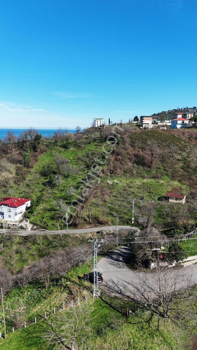 Mabel'den Toprakdeğirmeni Mah. Full Deniz Manzaralı Fırsat Arsa - Görsel 8