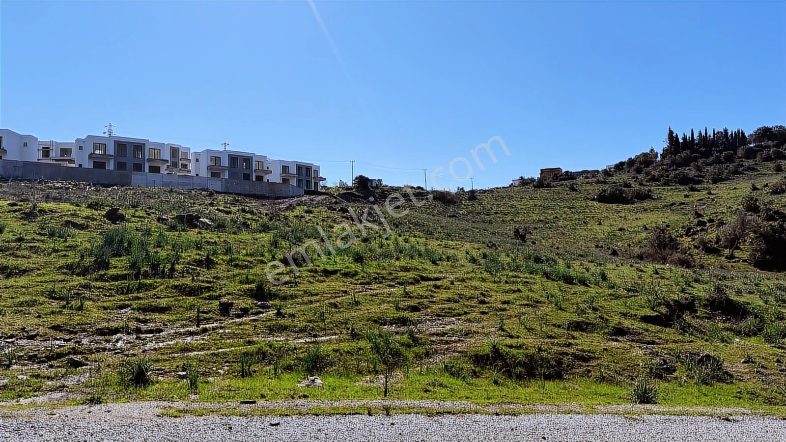 Milas Bodrum Meşelik Köyün^de 1.135 M² Villa İmarlı Fırsat Arsa. - Görsel 23