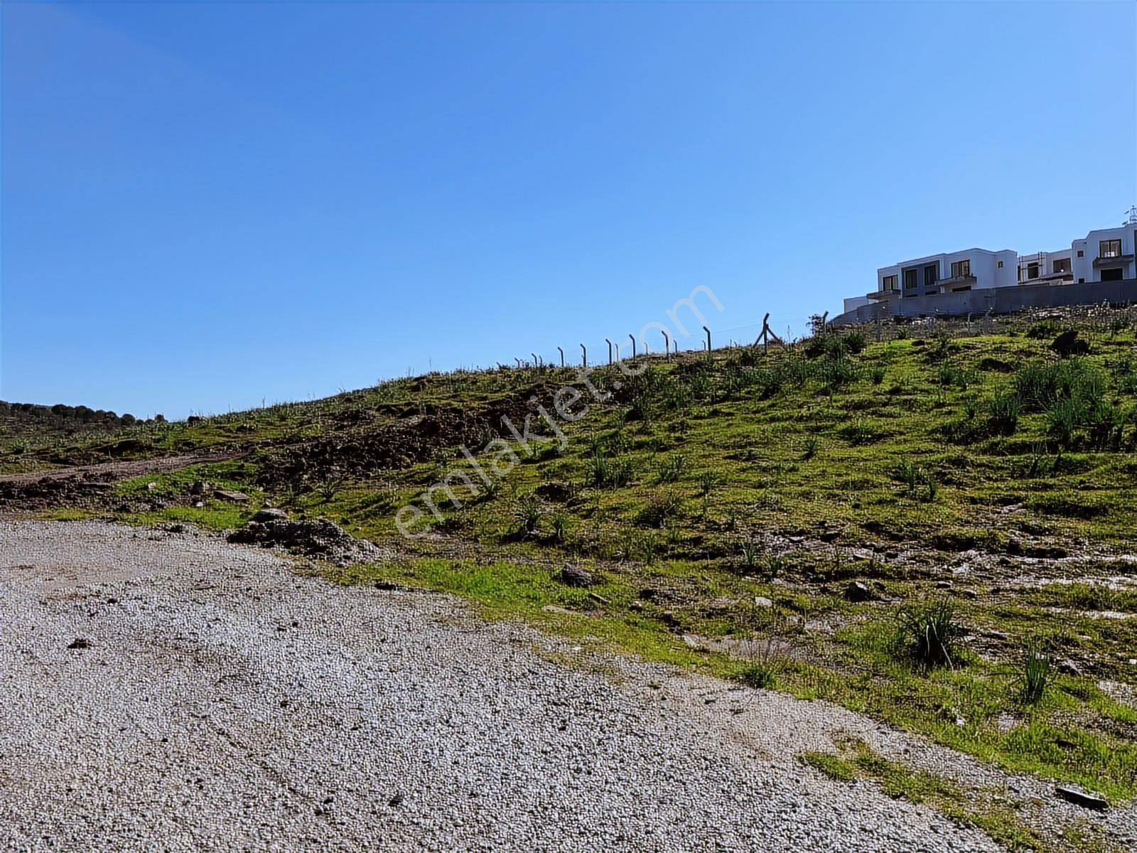 Milas Bodrum Meşelik Köyün^de 1.135 M² Villa İmarlı Fırsat Arsa. - Görsel 21