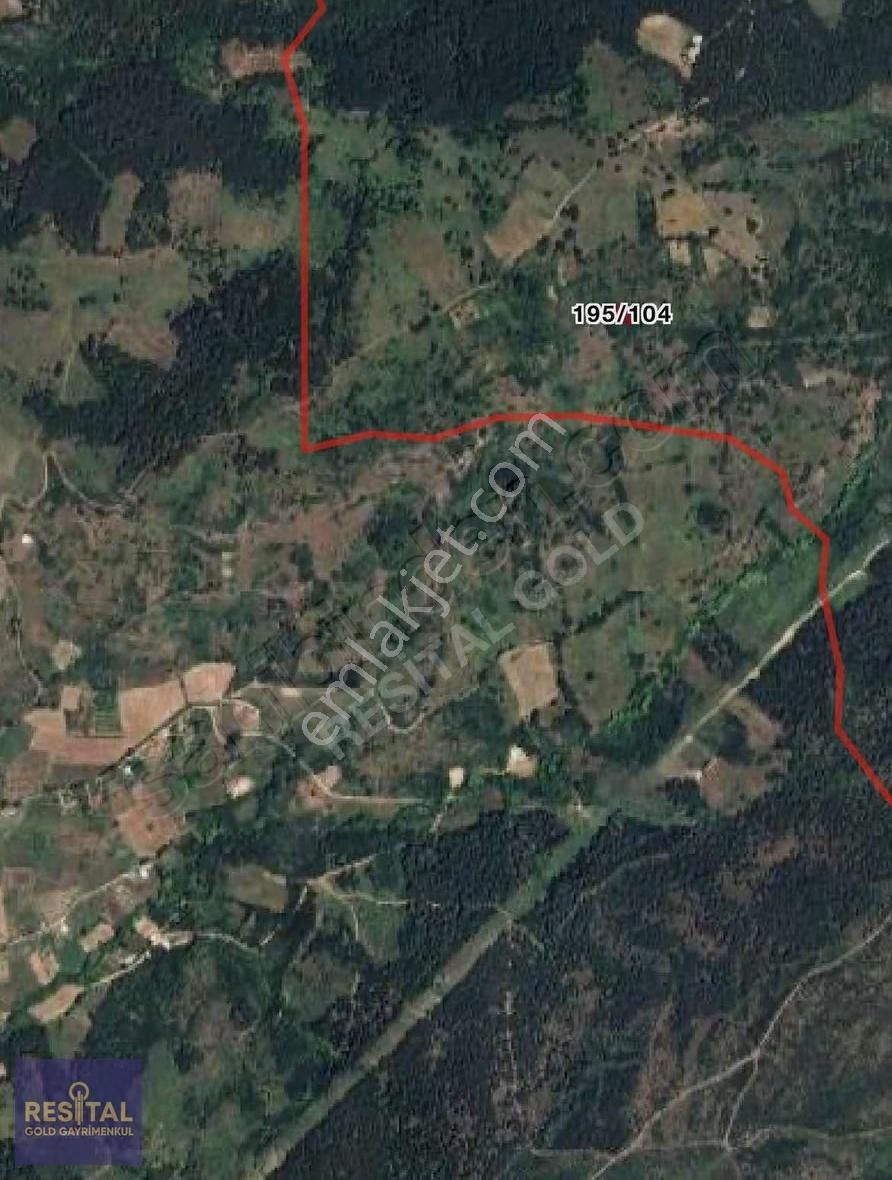 Nalınlar'da Tek Tapu Bağ - Görsel 3