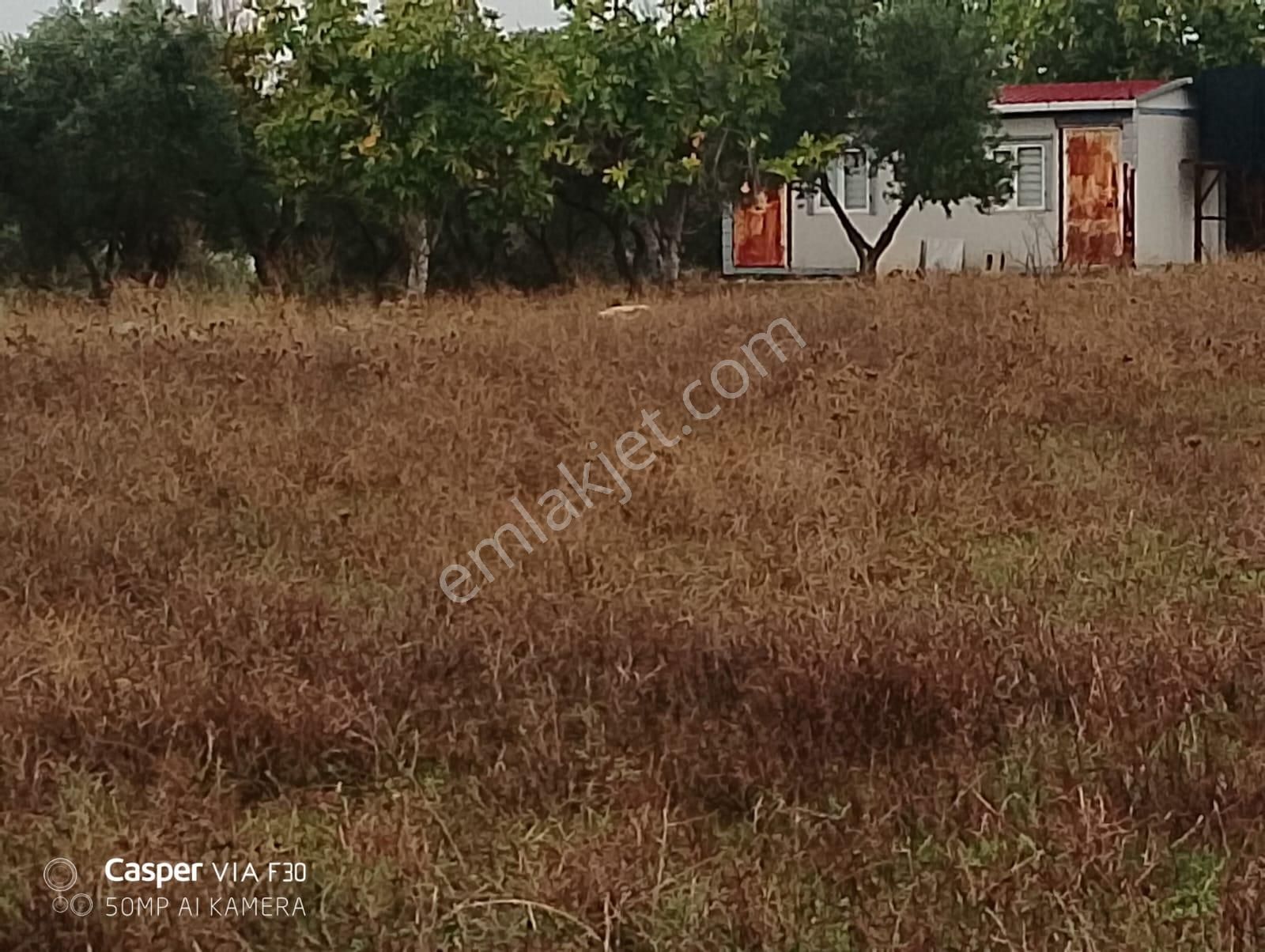 Torbalı Dirmilde Yapı Kayıt Belgeli, Yola Cepheli Zeytinlik