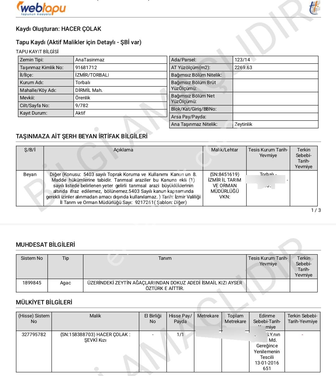 Torbalı Dirmilde Yapı Kayıt Belgeli, Yola Cepheli Zeytinlik - Görsel 12
