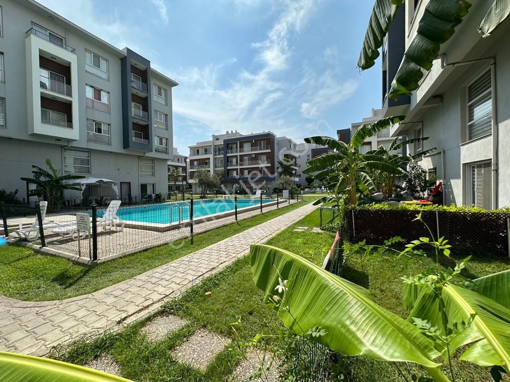 Seyrek Studıo City De 1+1 Eşyalı Kiralık Geniş Daire - Görsel 25