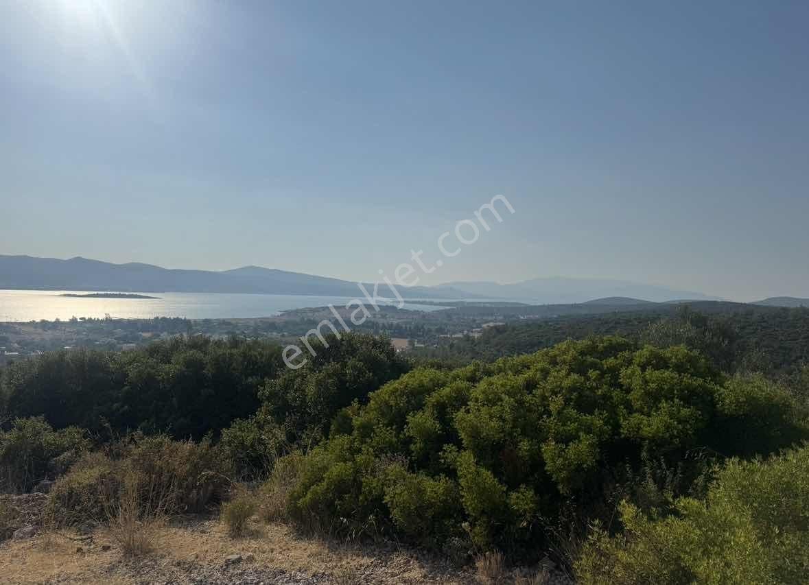 Bürmen'den Urla Altıntaş Torosan'da Manzaralı Yol Cepheli Arazi - Görsel 10
