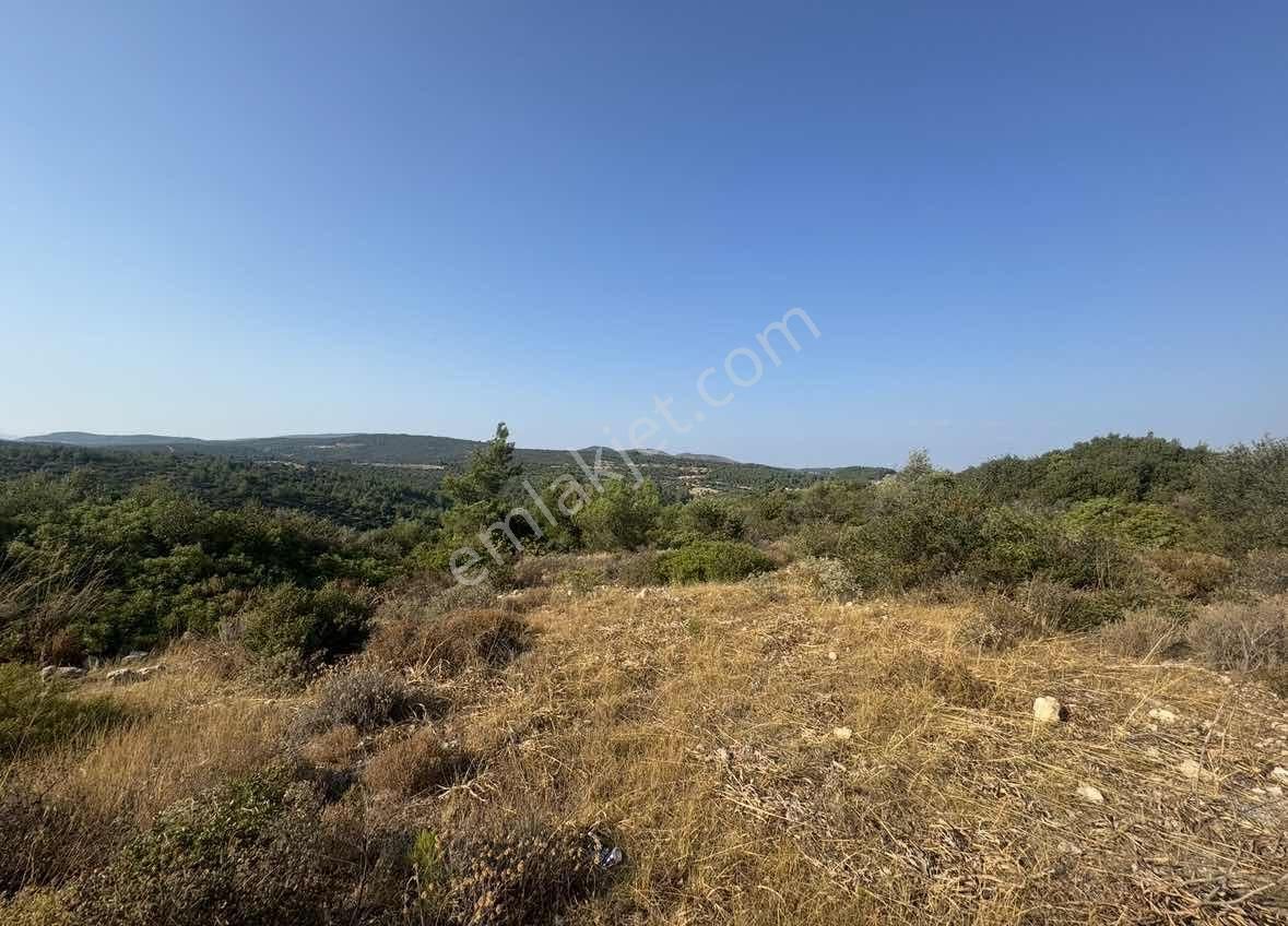 Bürmen'den Urla Altıntaş Torosan'da Manzaralı Yol Cepheli Arazi - Görsel 7