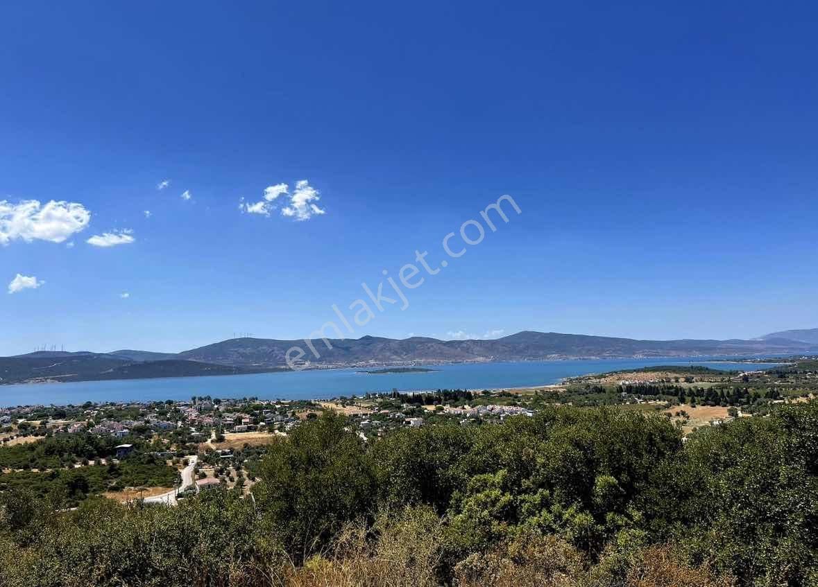 Bürmen'den Urla Altıntaş Torosan'da Manzaralı Yol Cepheli Arazi