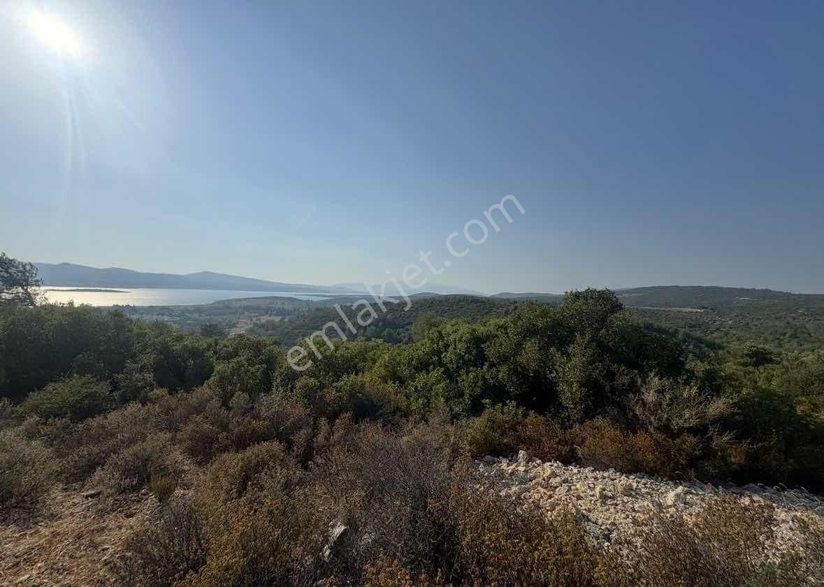 Bürmen'den Urla Altıntaş Torosan'da Manzaralı Yol Cepheli Arazi - Görsel 2