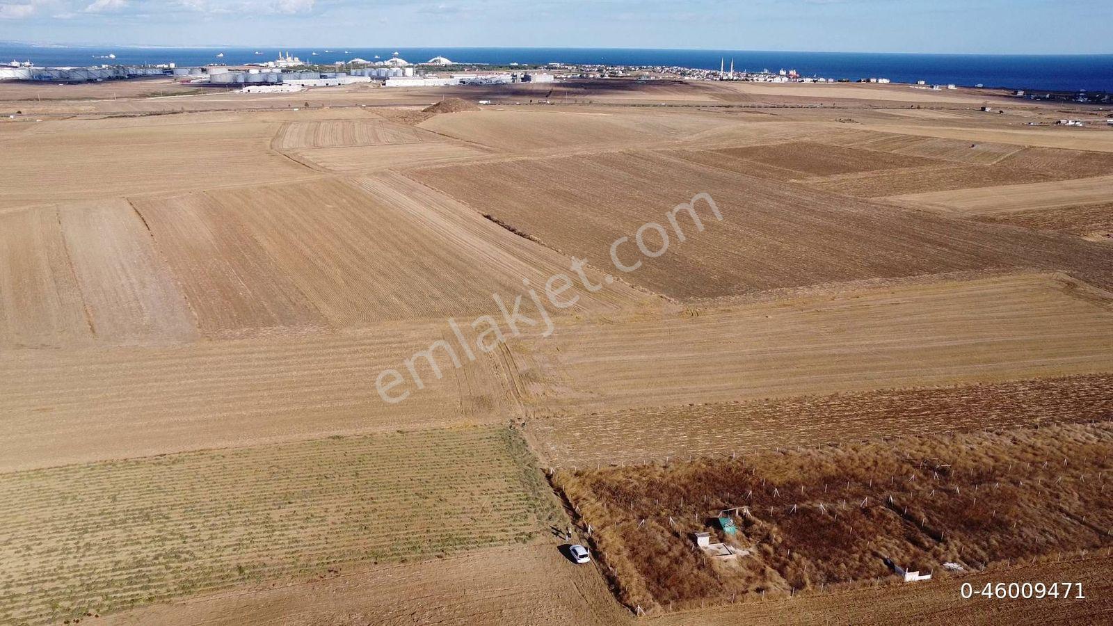 Sahibinden | Tekirdağ Yoluna-belediye Binasına 3dk | 300m2 Etrafı Çevrili | Deniz Manzaralı - Görsel 9