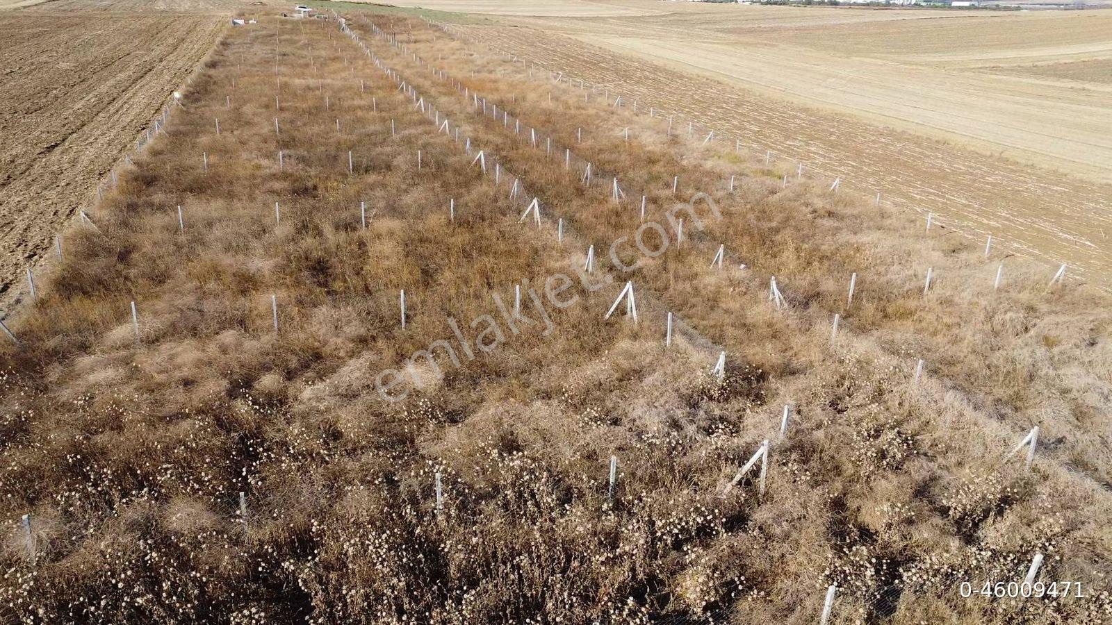 Sahibinden | Tekirdağ Yoluna-belediye Binasına 3dk | 300m2 Etrafı Çevrili | Deniz Manzaralı - Görsel 14
