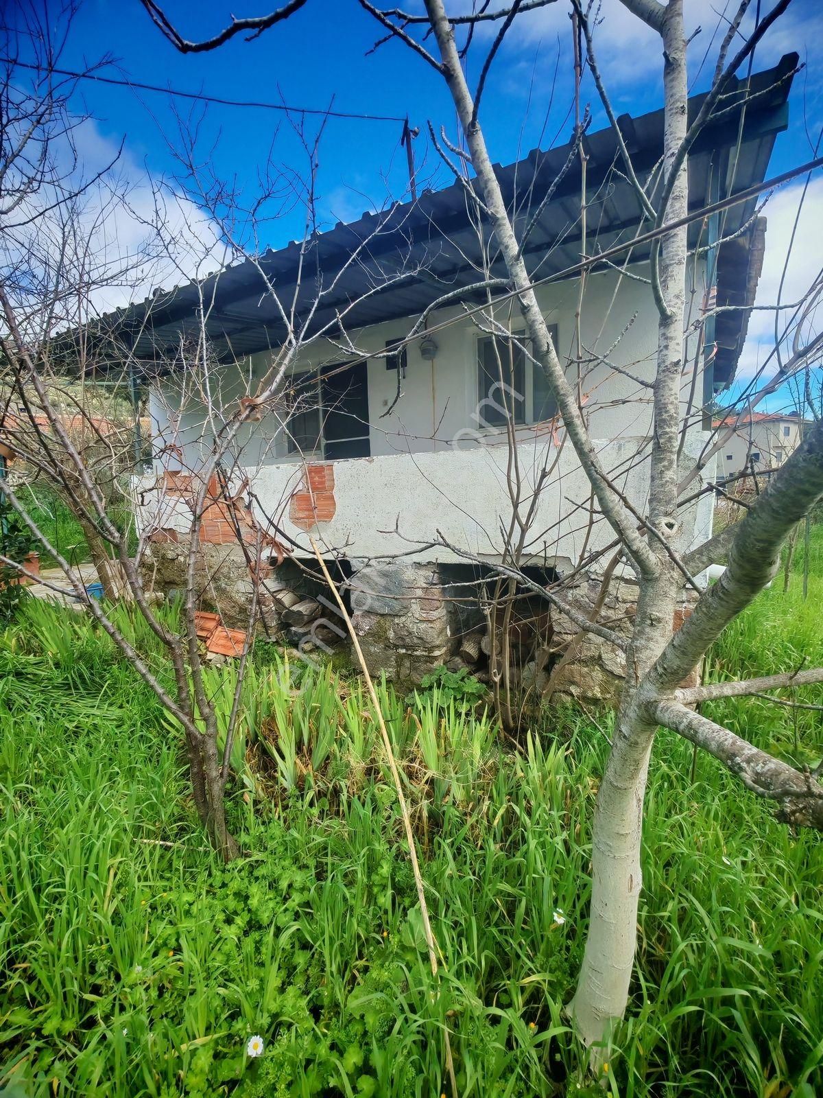 Dikili Kıroba Köyünde 590 M2 Bahçe İçinde Satılık Köy Evi - Görsel 6