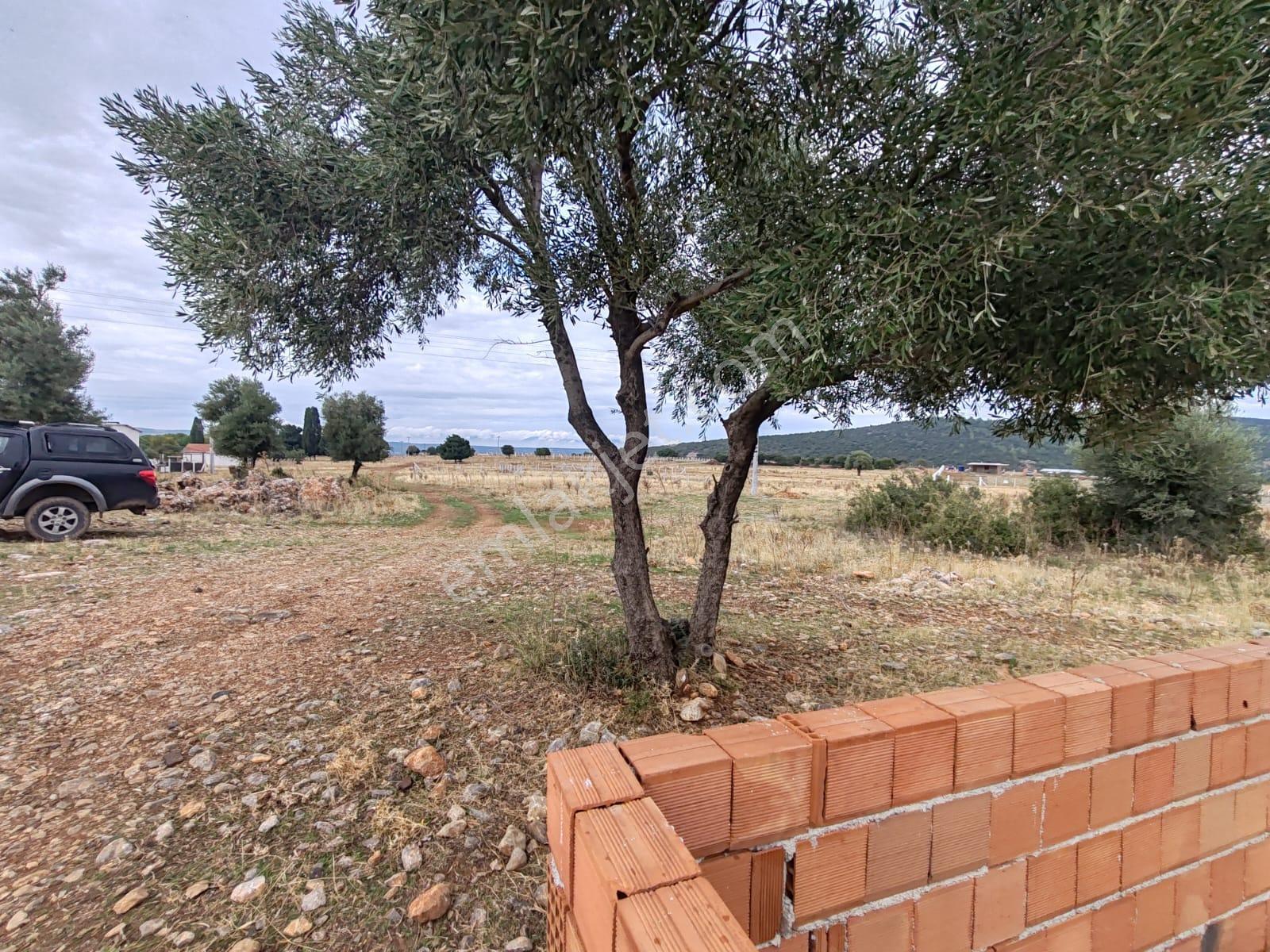Balova1 Elektrik Mevcut Köşe Parsel 327 M² İmarlı Arsa - Görsel 13