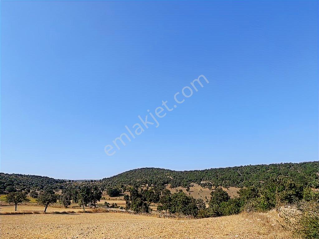 Yok Böyle Fiyat!! 45.321 M2 Dursunbey/karamanlarda Fırsat Arazi - Görsel 12