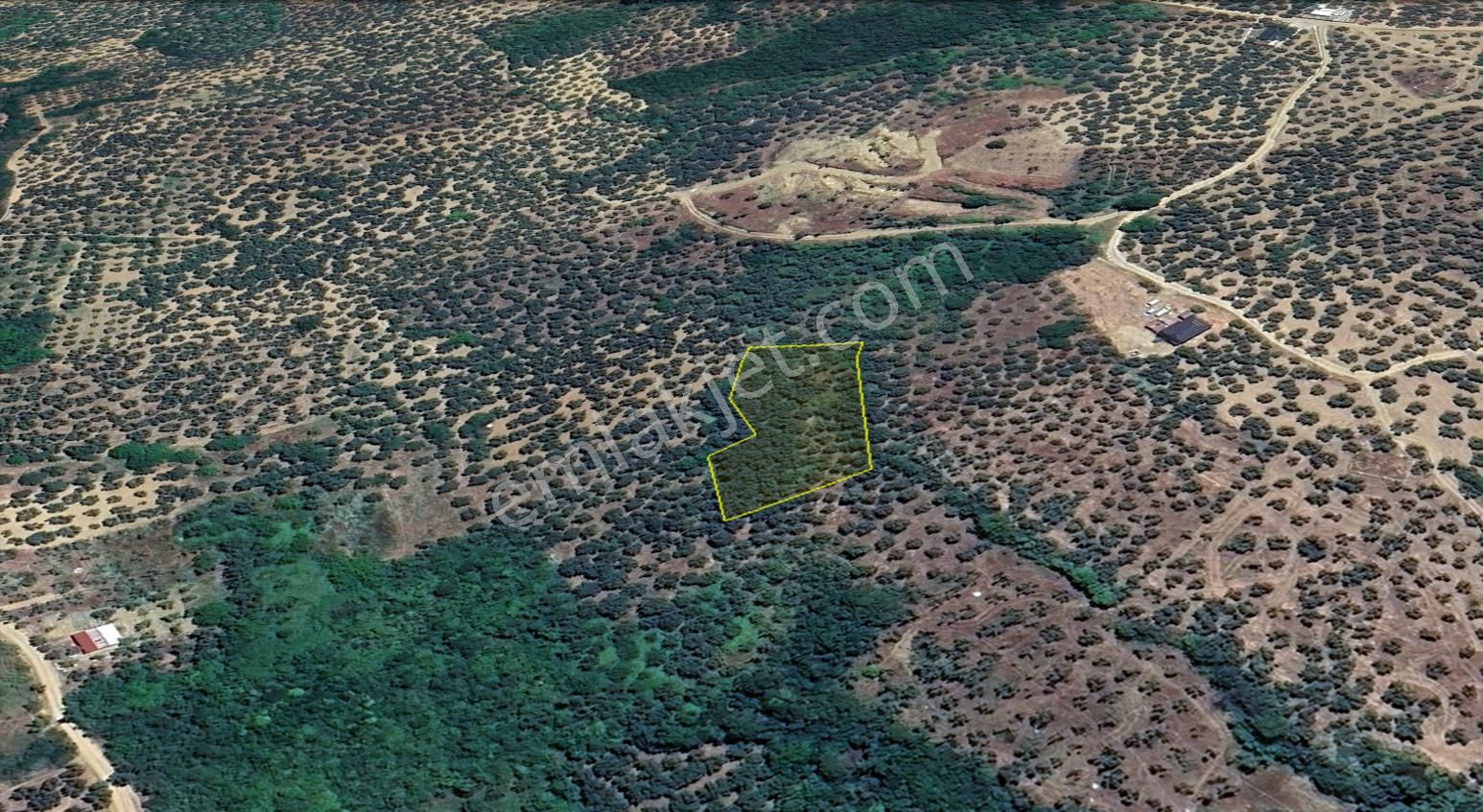 Remax Area'dan Mudanya-talatbey'de 2.5 Dönüm Satılık Zeytinlik - Görsel 2