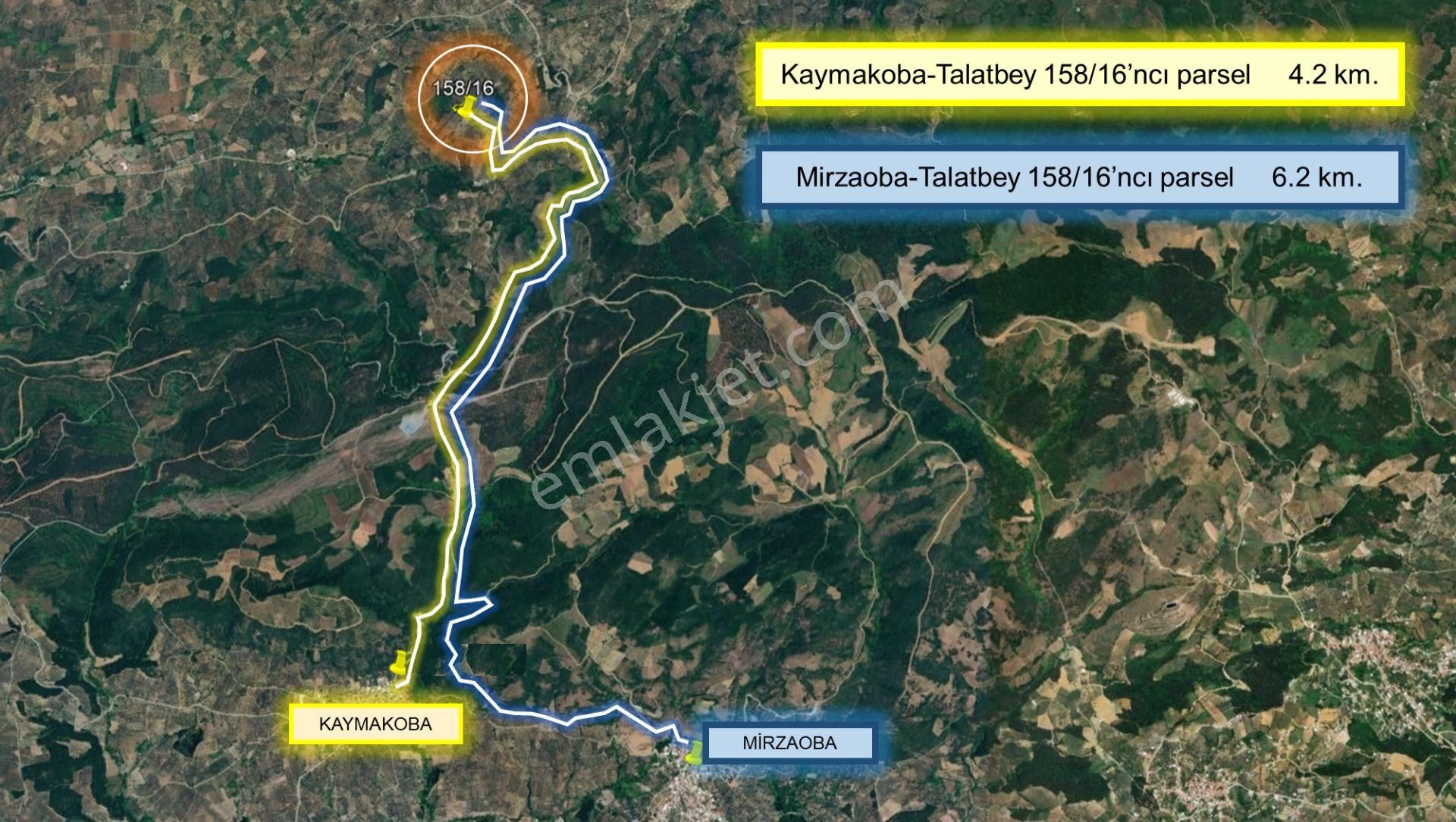 Remax Area'dan Mudanya-talatbey'de 2.5 Dönüm Satılık Zeytinlik - Görsel 6