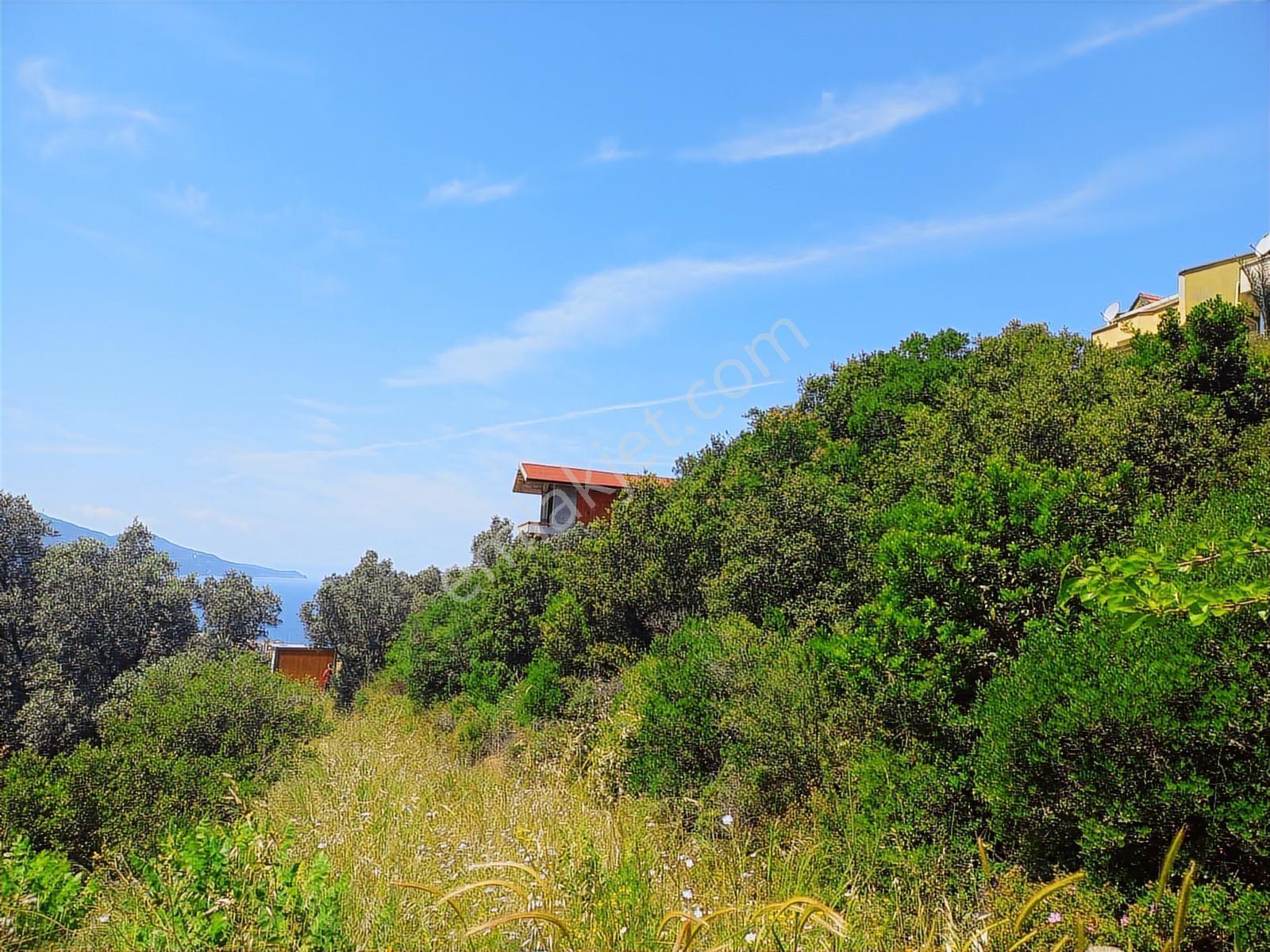 242 M2 0.25-0.50 Emsal 2,5 Kat İmarlı Villalara Komşu Parsel ... - Görsel 7