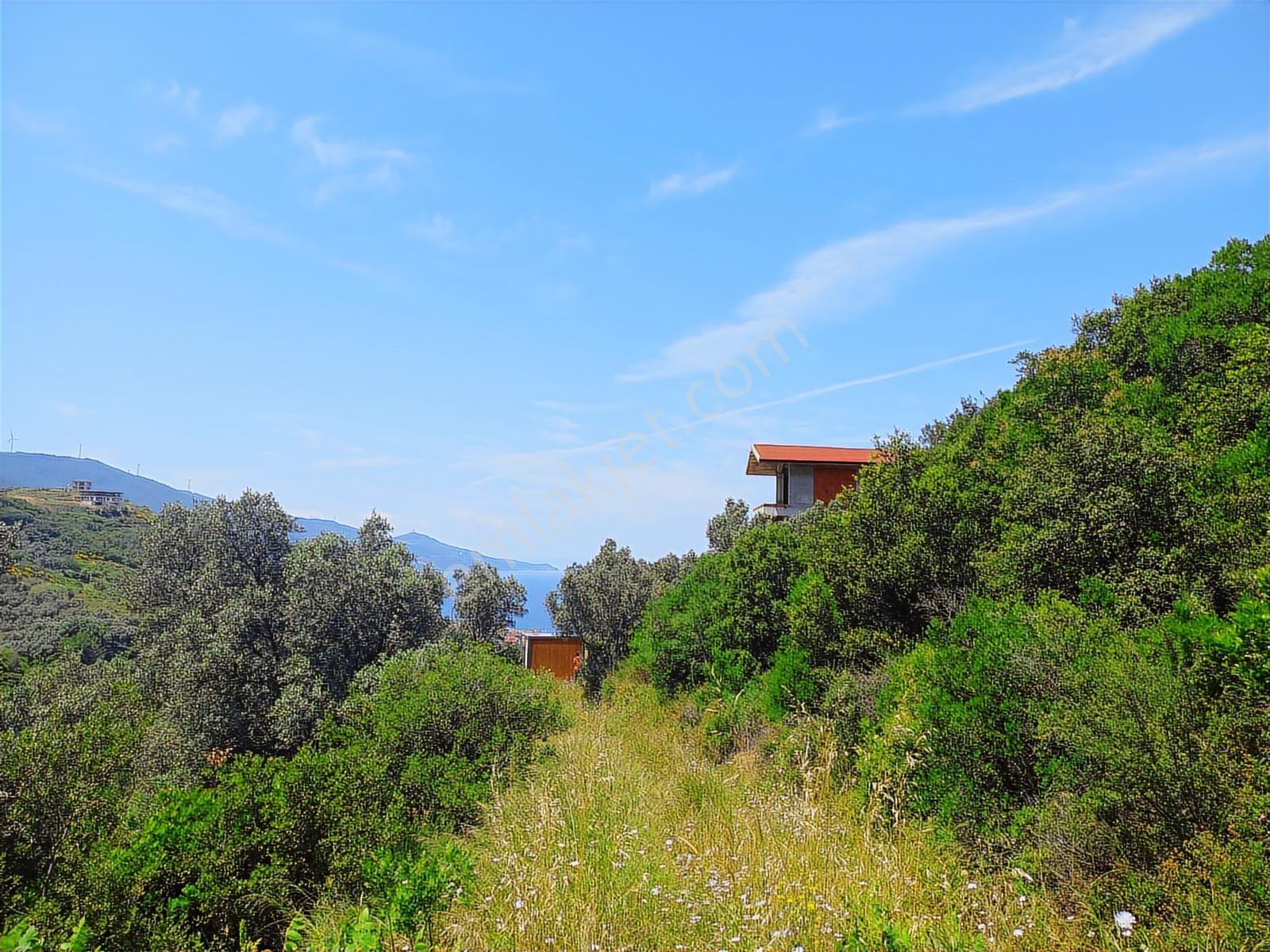 242 M2 0.25-0.50 Emsal 2,5 Kat İmarlı Villalara Komşu Parsel ... - Görsel 17
