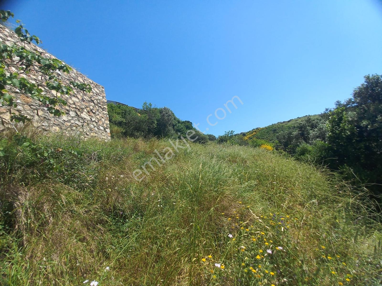 242 M2 0.25-0.50 Emsal 2,5 Kat İmarlı Villalara Komşu Parsel ... - Görsel 27