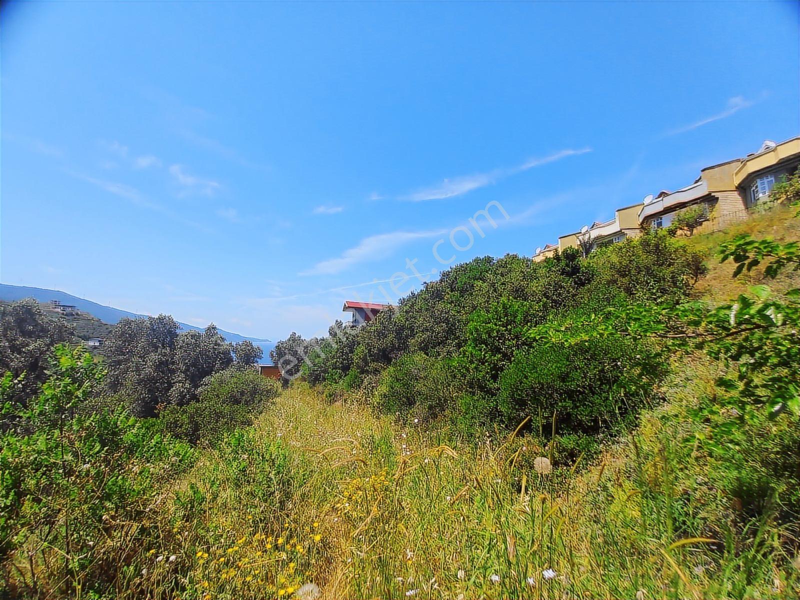 242 M2 0.25-0.50 Emsal 2,5 Kat İmarlı Villalara Komşu Parsel ... - Görsel 23