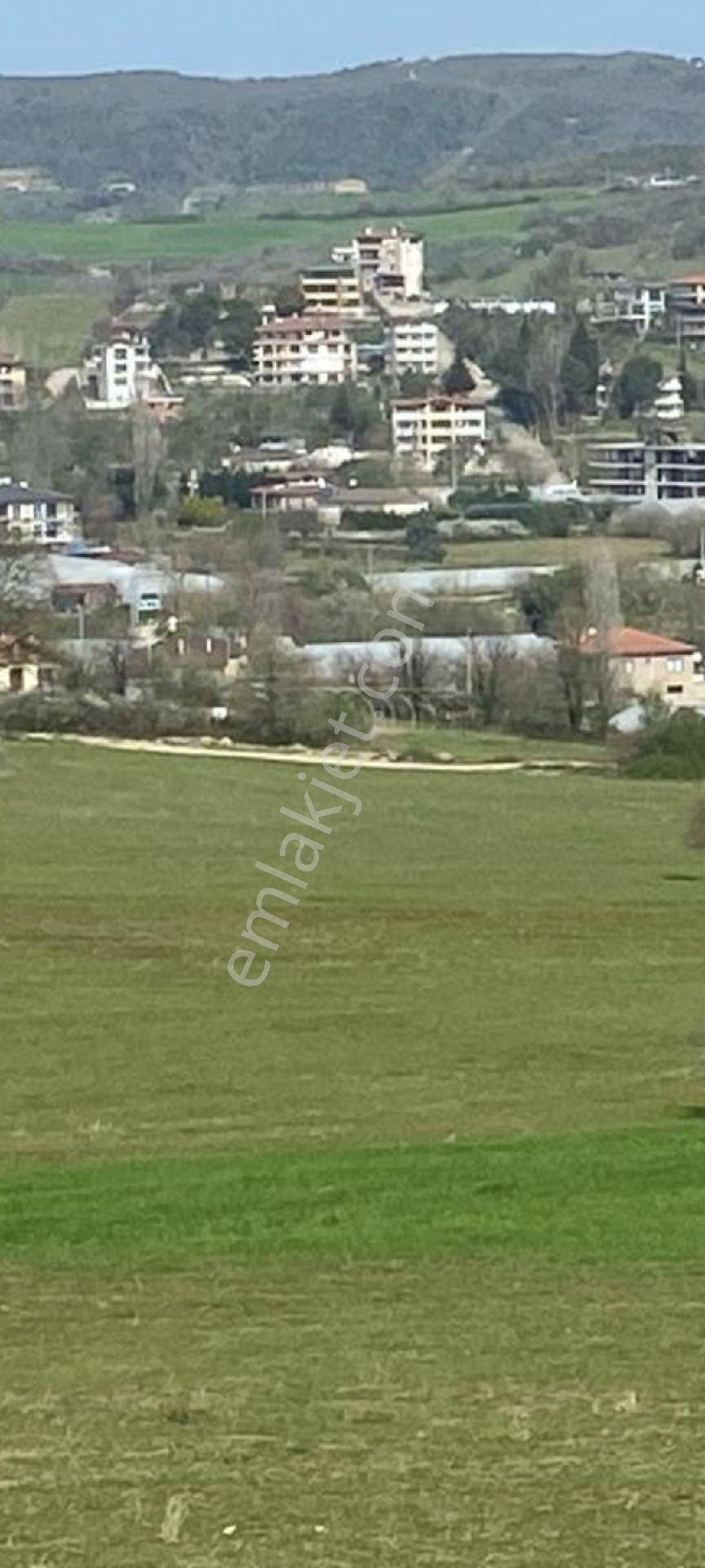 My Ekipden Yalova Merkez Kadiköy De Yatırımlık Arazi - Görsel 33