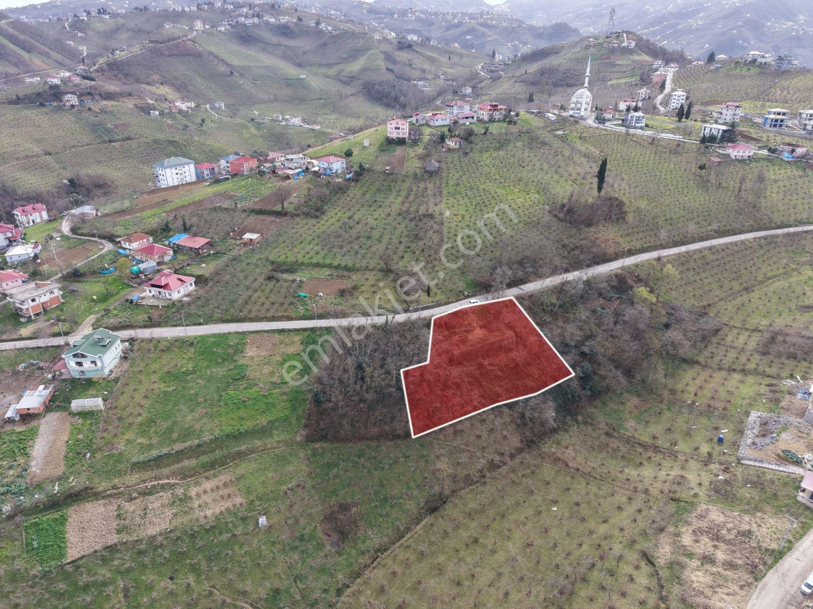 Trabzon Uğurlu Mahallesinde Deniz Manzaralı Satılık Arsa - Görsel 4