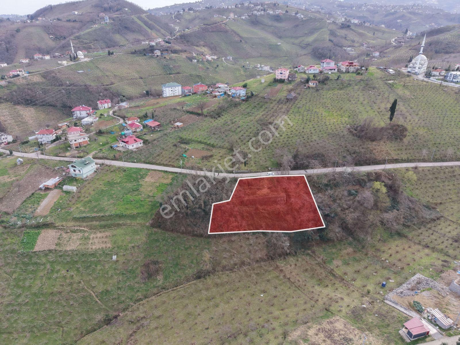 Trabzon Uğurlu Mahallesinde Deniz Manzaralı Satılık Arsa - Görsel 3