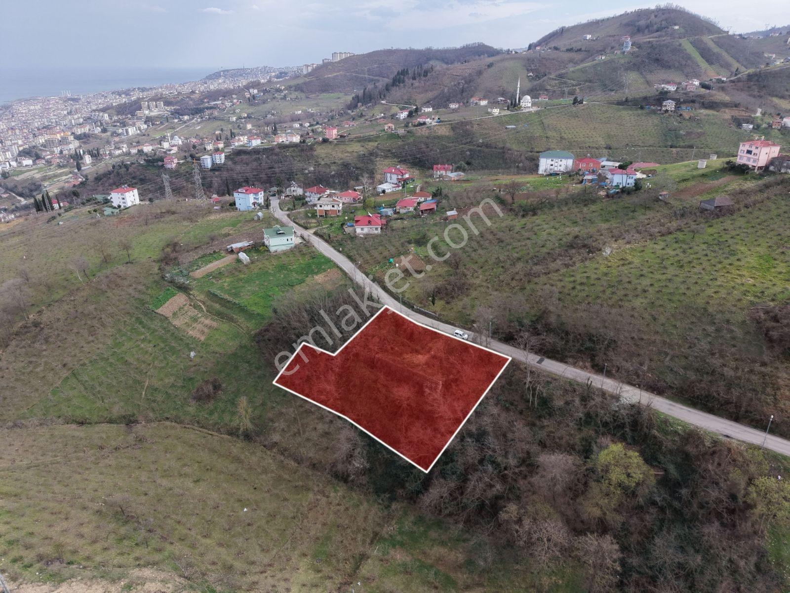 Trabzon Uğurlu Mahallesinde Deniz Manzaralı Satılık Arsa - Görsel 2