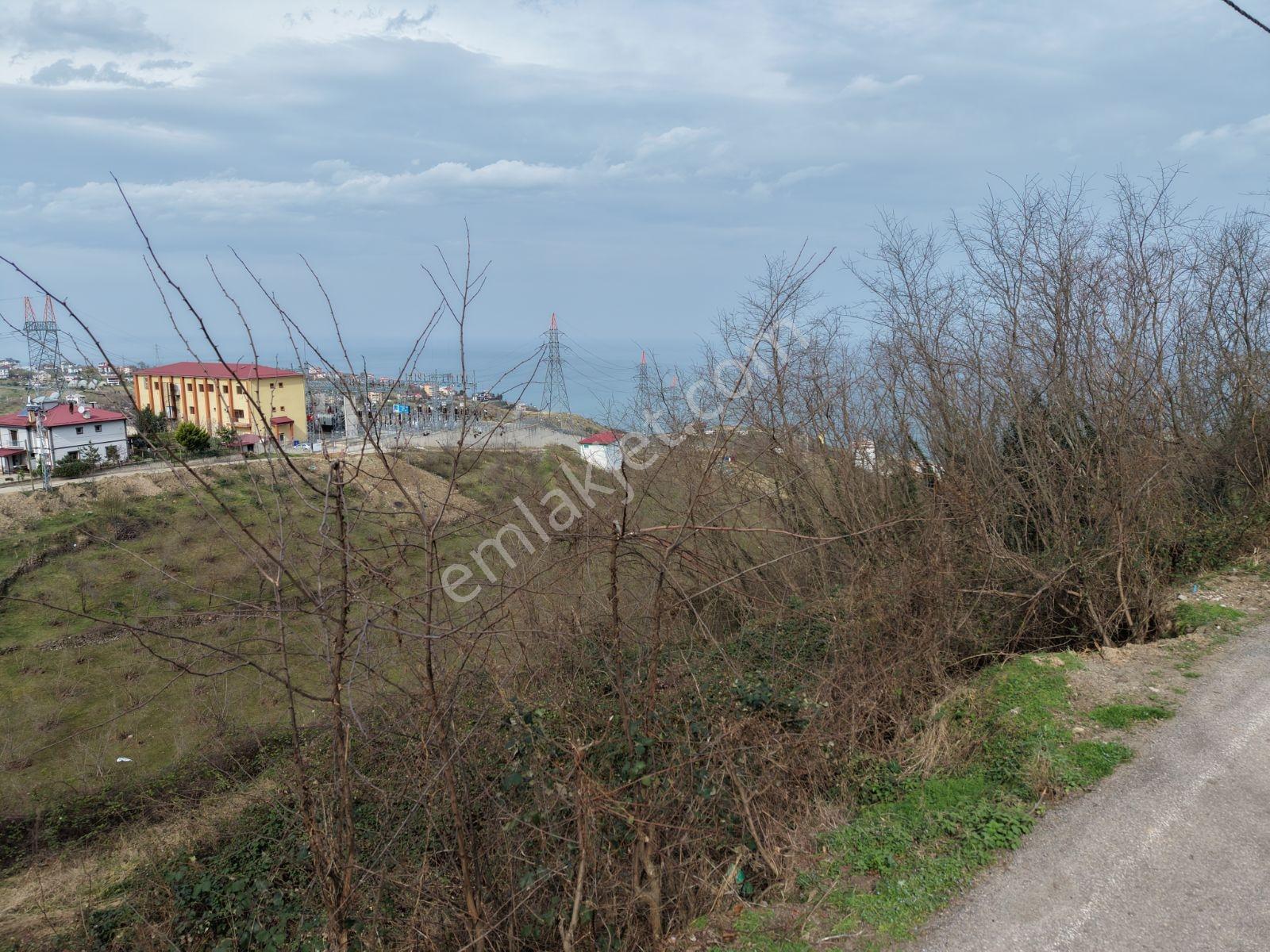Trabzon Uğurlu Mahallesinde Deniz Manzaralı Satılık Arsa - Görsel 13