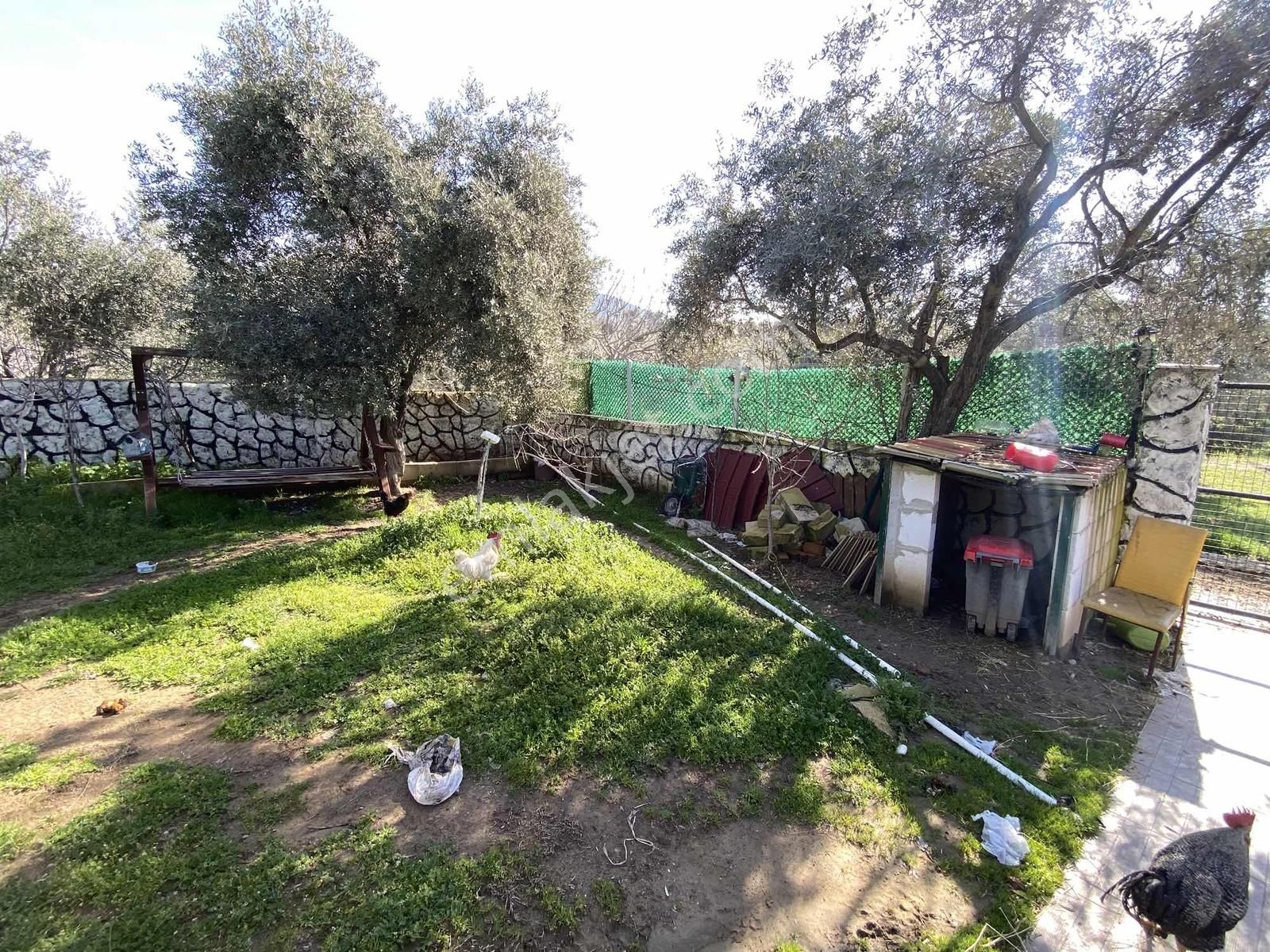 Buca Kırıklarda Satılık 426m2 Yapı Kayıt Belgeli 2+1 Ev Ve Arsa - Görsel 13