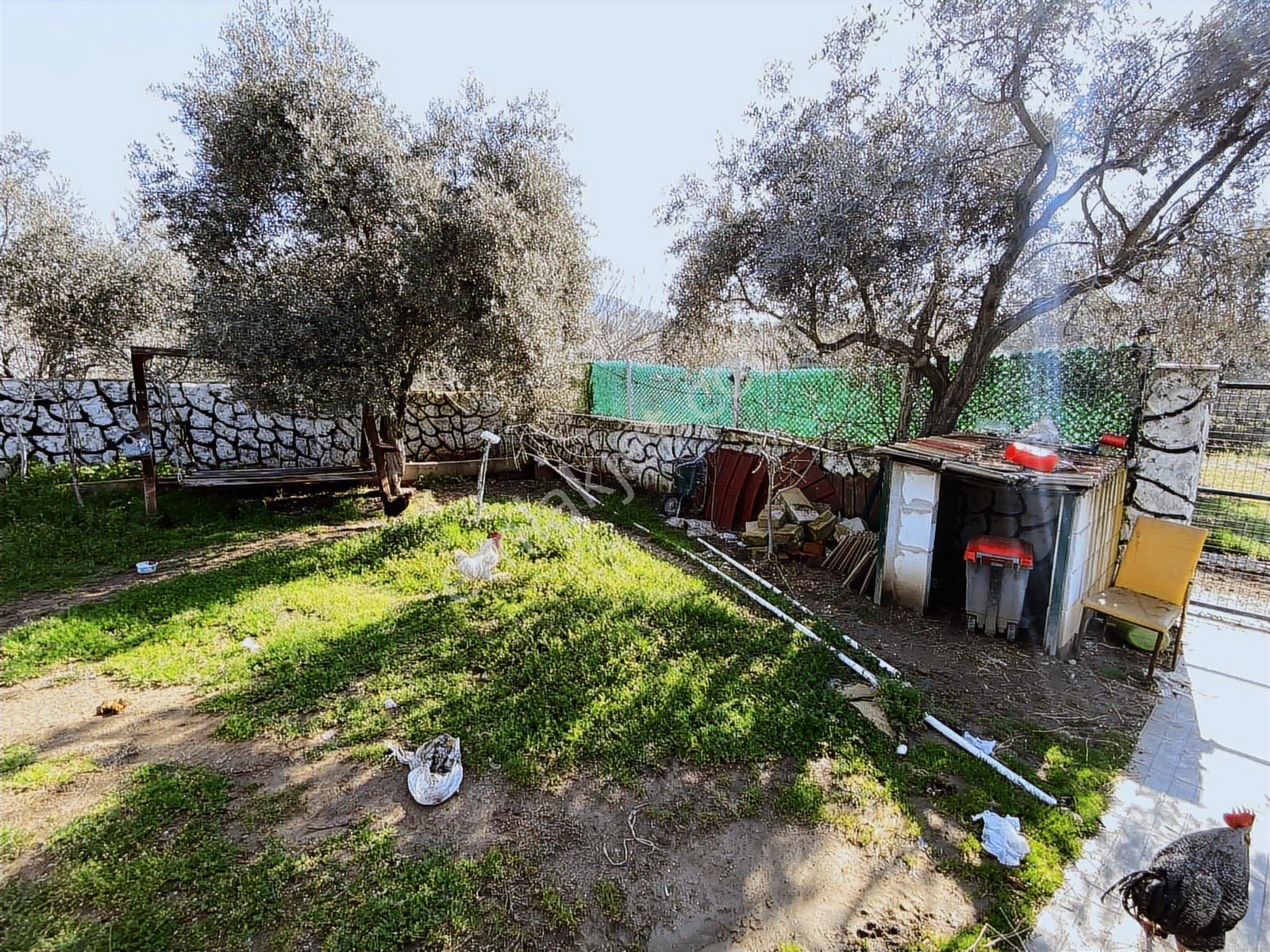 Buca Kırıklarda Satılık 426m2 Yapı Kayıt Belgeli 2+1 Ev Ve Arsa - Görsel 15