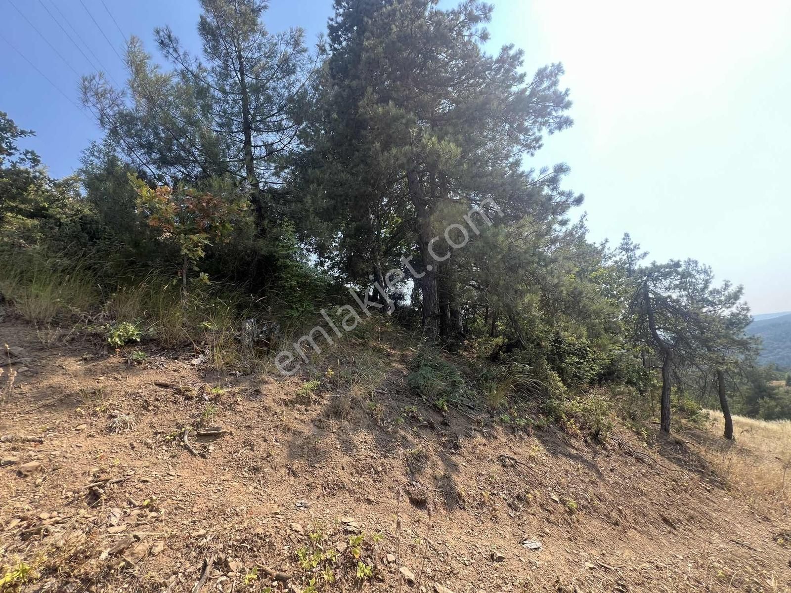 Dağyenice'de Tektapu Manzaralı Satılık 556 M2 - Görsel 8