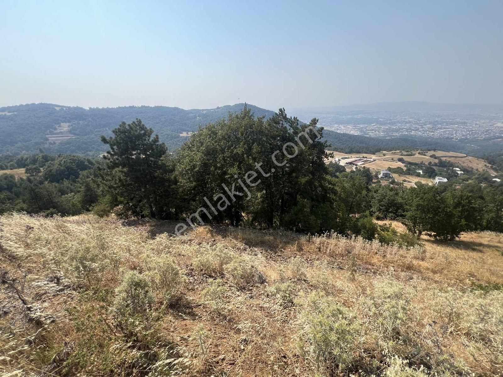 Dağyenice'de Tektapu Manzaralı Satılık 556 M2 - Görsel 6