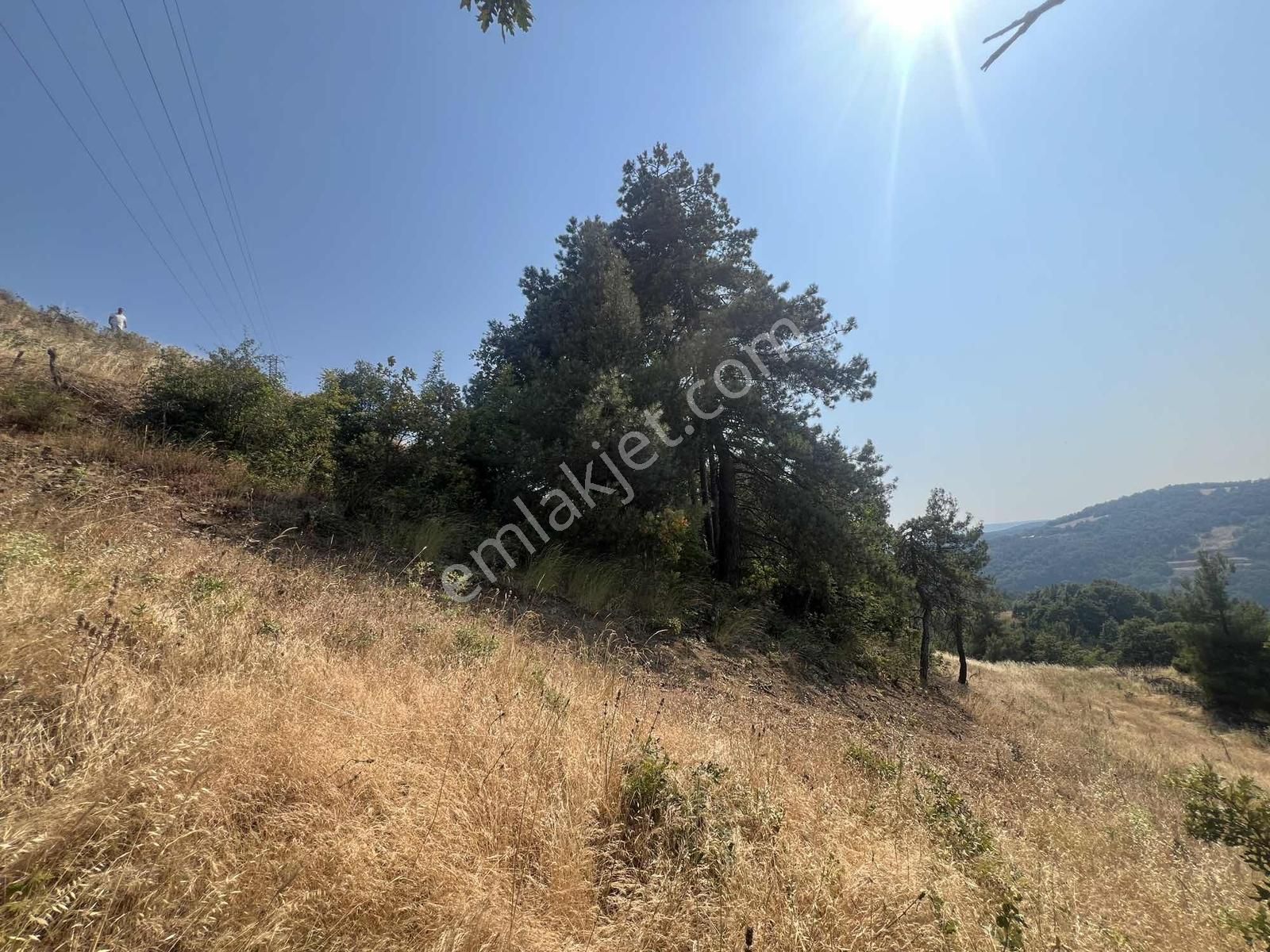 Dağyenice'de Tektapu Manzaralı Satılık 556 M2