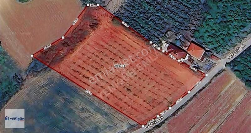 Yenigün Emlak Tan Söğütlü Beşdeğirmenler Asvalt Üzeri Arazi - Görsel 2