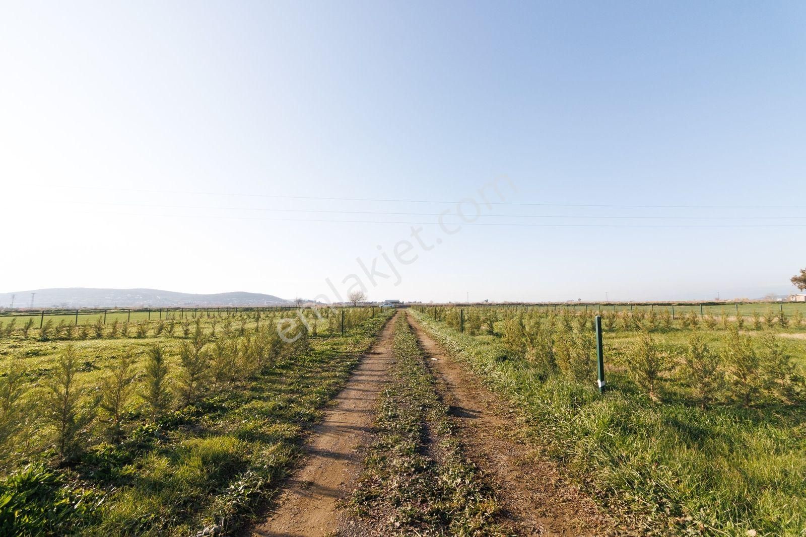 Foça Gerenköy'de 215 M² Satılık Arazi - Görsel 3