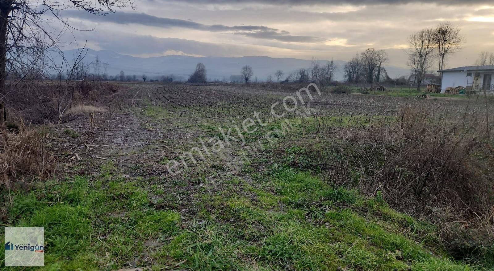 Yenigün Emlak Tan Kamışlı Köyü Köyiçi Yatırımlık Satılık Arazi