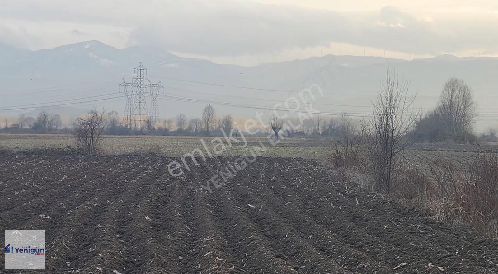 Yenigün Emlak Tan Kamışlı Köyü Köyiçi Yatırımlık Satılık Arazi - Görsel 8