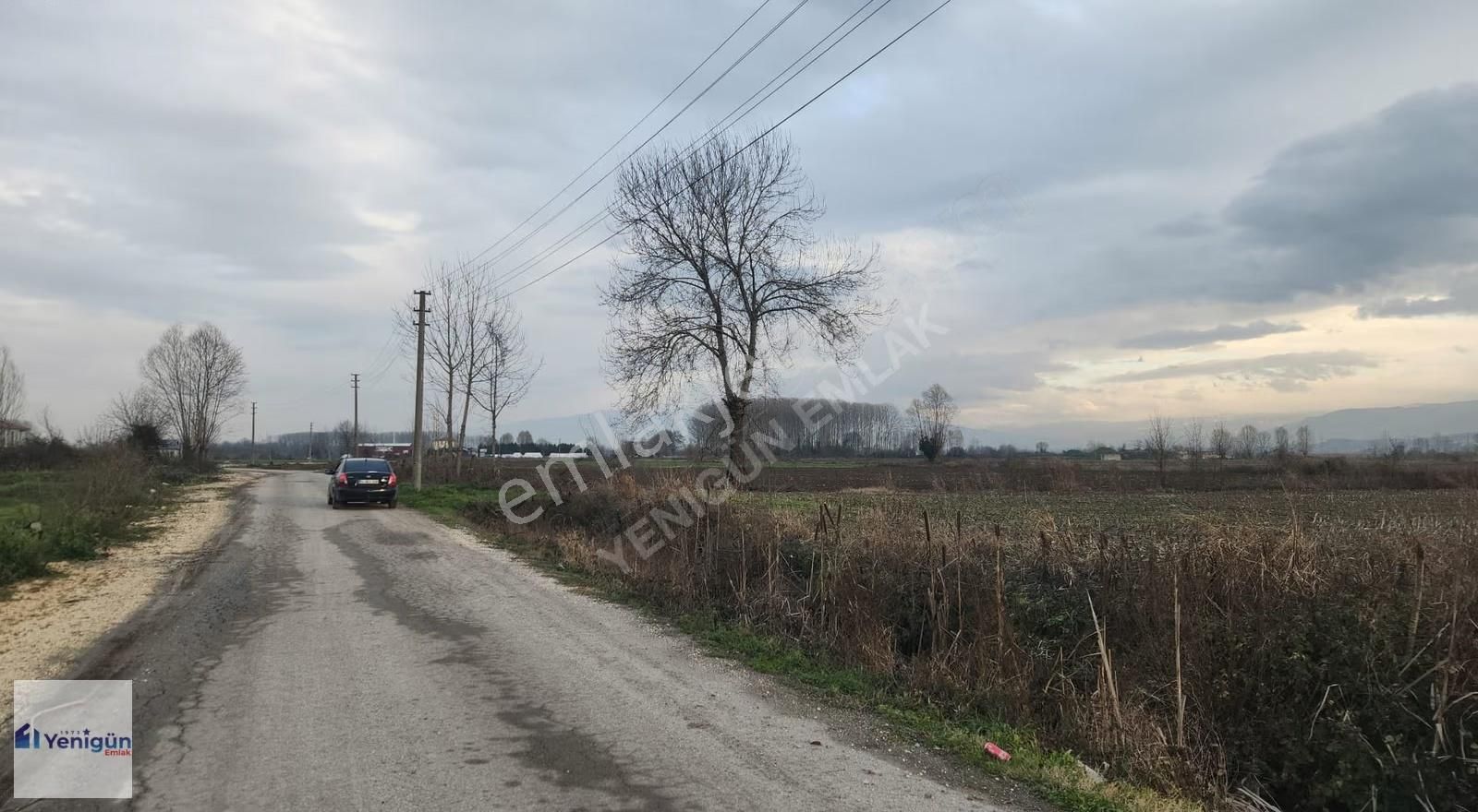 Yenigün Emlak Tan Kamışlı Köyü Köyiçi Yatırımlık Satılık Arazi - Görsel 10