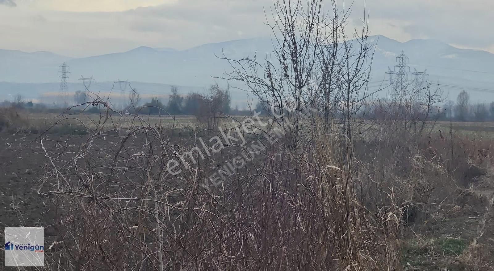 Yenigün Emlak Tan Kamışlı Köyü Köyiçi Yatırımlık Satılık Arazi - Görsel 2