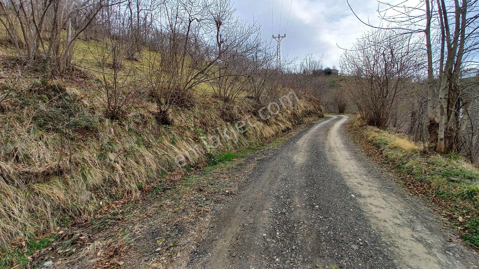 Beşikdüzü Ağaçlı'da Satılık 1.928 M2 Arazi - Görsel 19